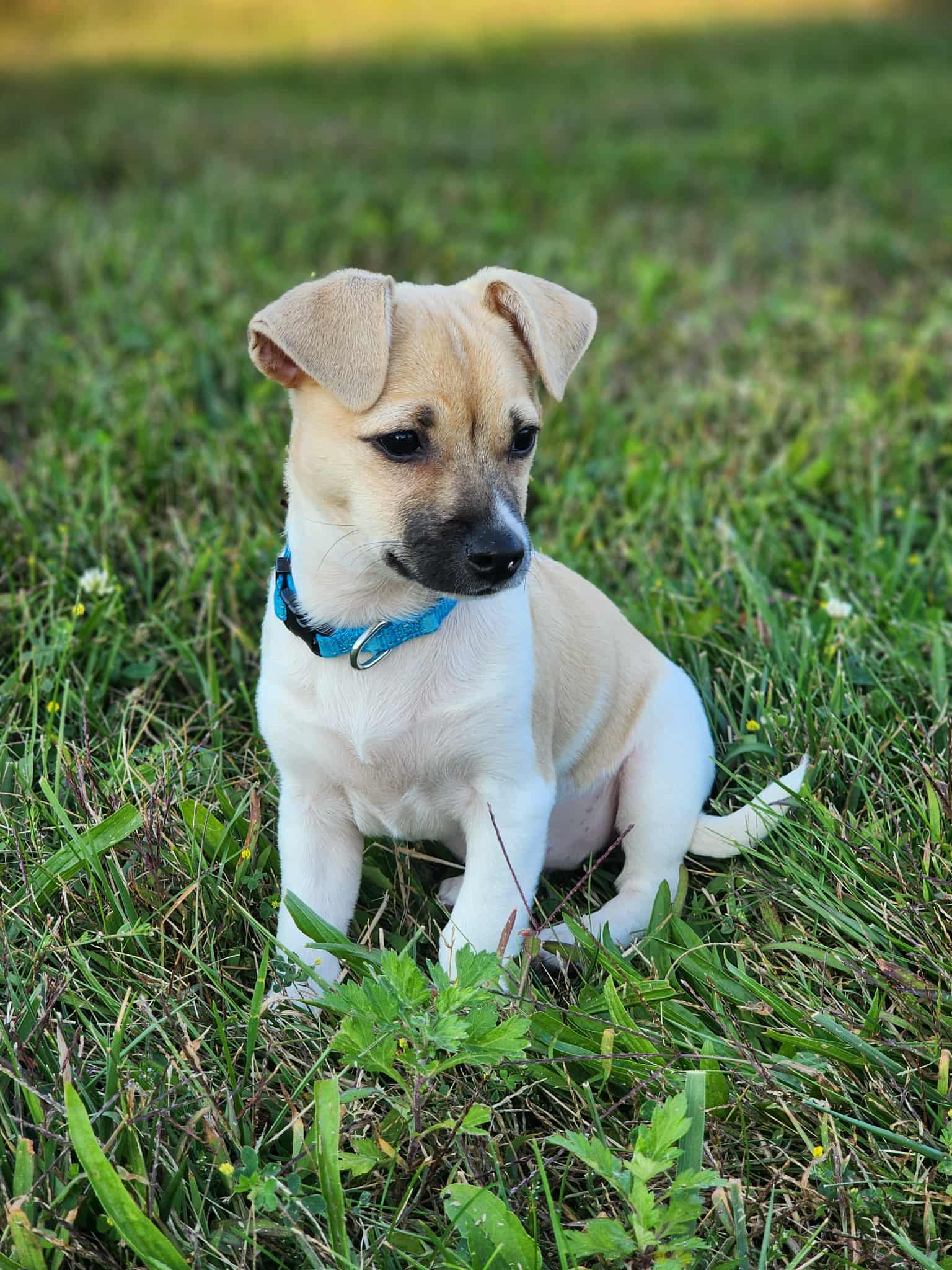 att.dIP-SqtHgejAwS202nroE6FMoSVIR9aK_13BwmMigas