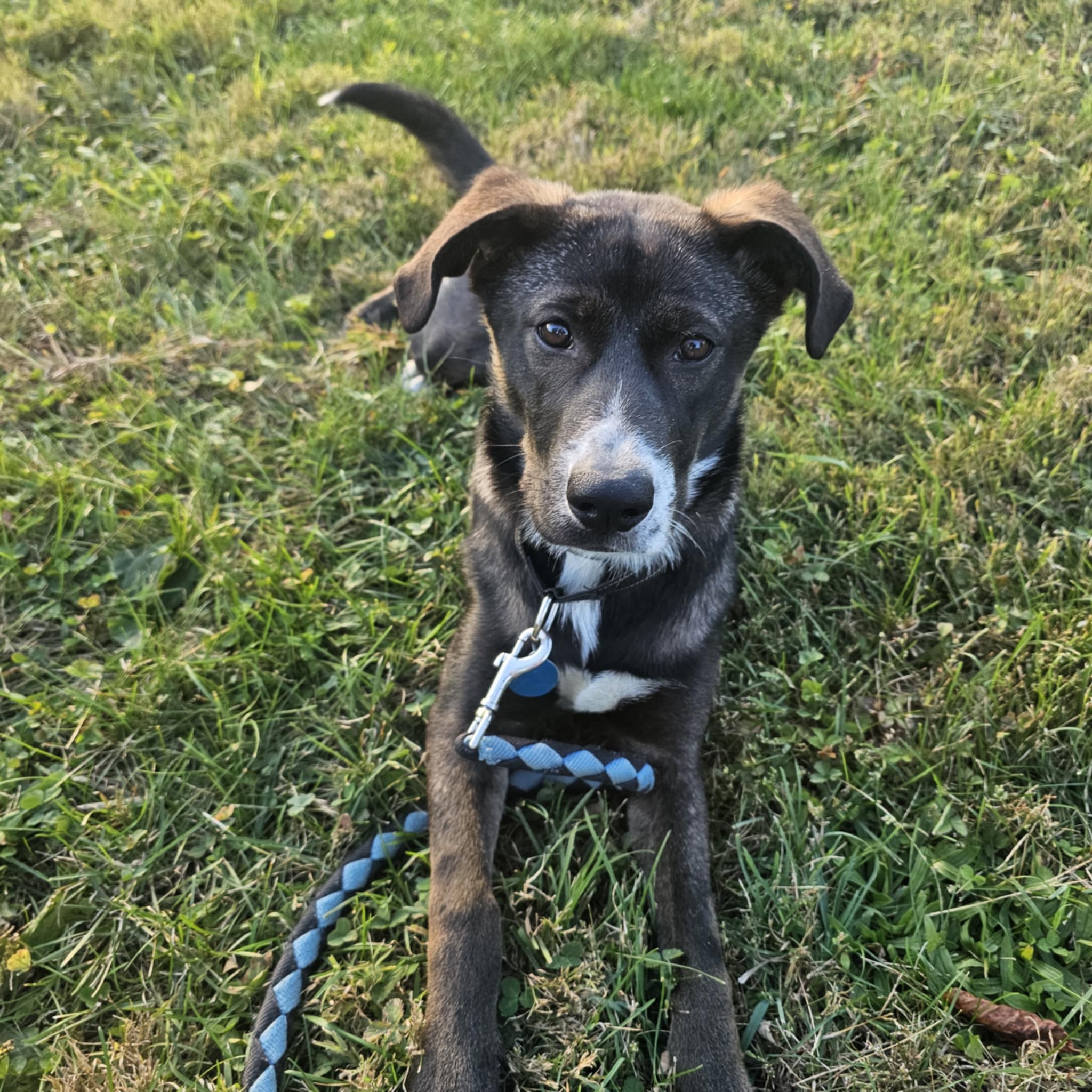 att.40JqiQd1oJxyeqAQz_xGv4tBipRQxsE8yRA2WZvwdOY