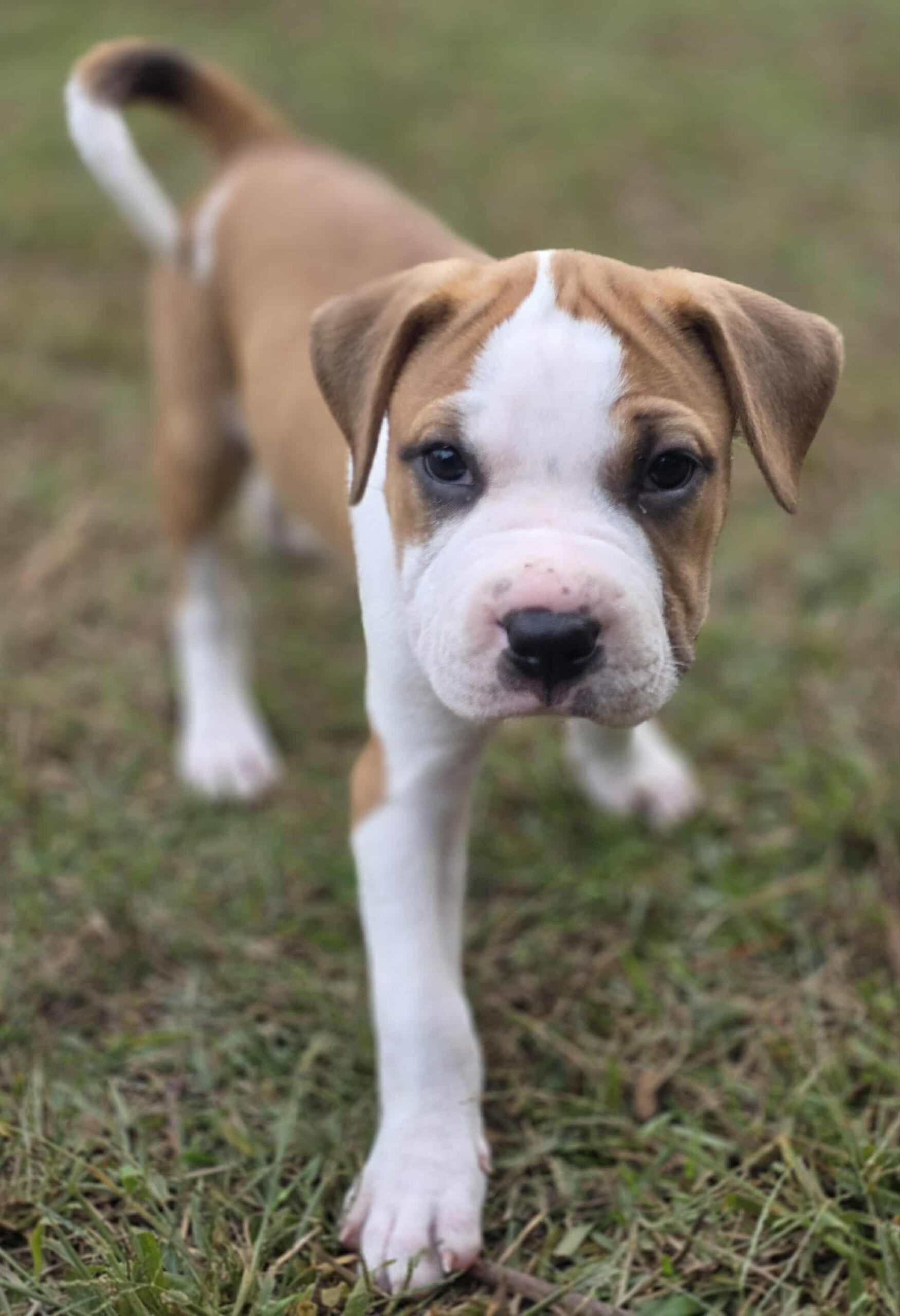 att.7nL_0-MraTQwdyUKvqd5HivKfuOT6T-z26WmHqkwK-c att.7nL_0-MraTQwdyUKvqd5HivKfuOT6T-z26WmHqkwK-c