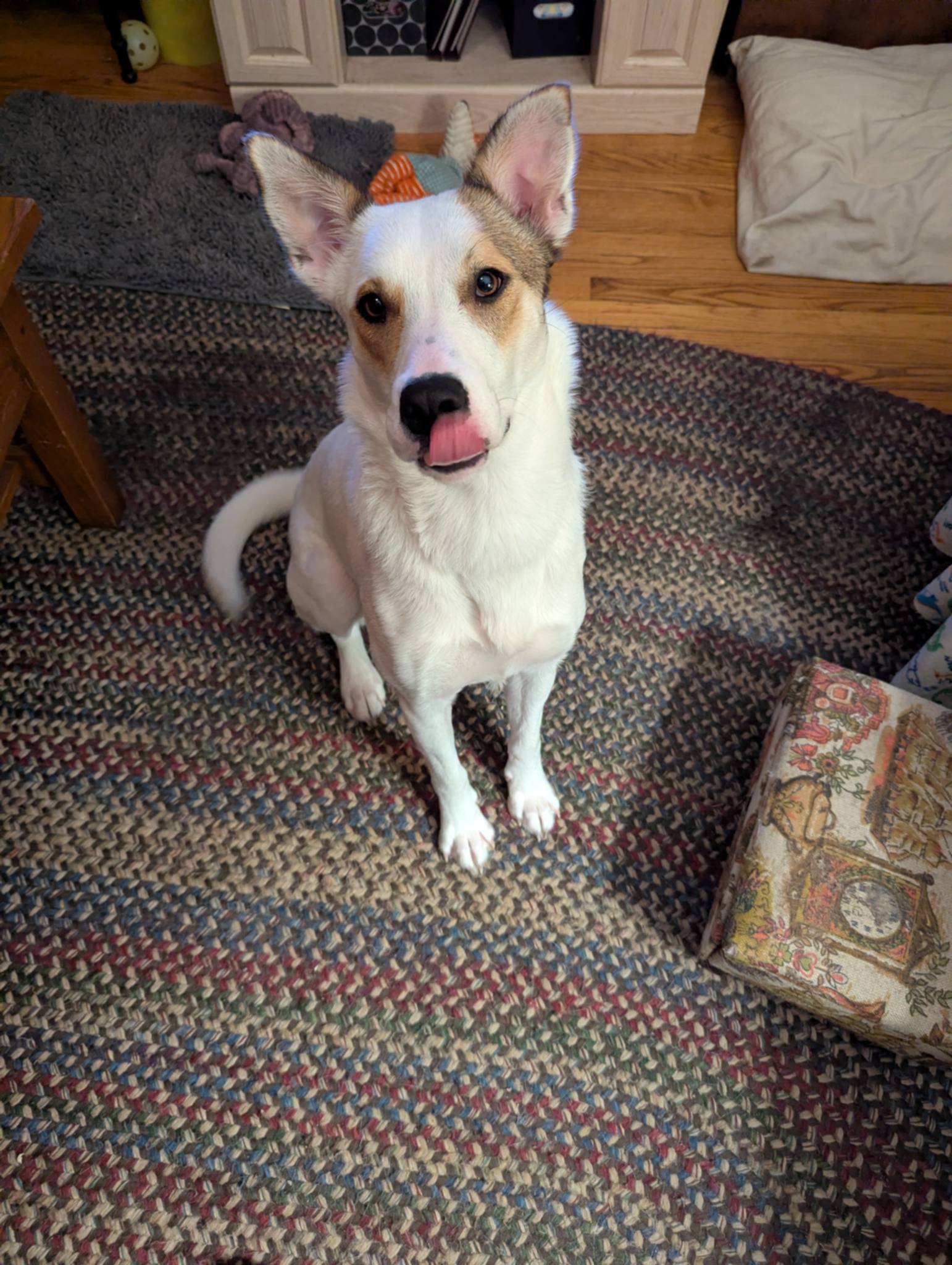 att.PNdH_OEgnz-jHxnKuG7Rfwg-c1Zxw7Jp_99_Xt9KJZw