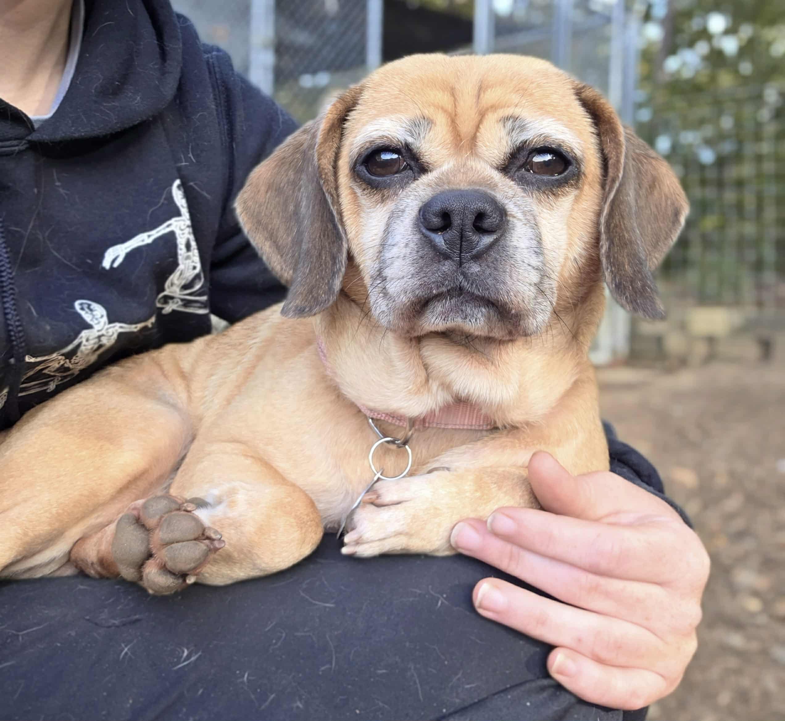 att.Vu5uPyeAYk-6fKTdfYsuQuhh5fHDTYRyTgd4CR8yl4U