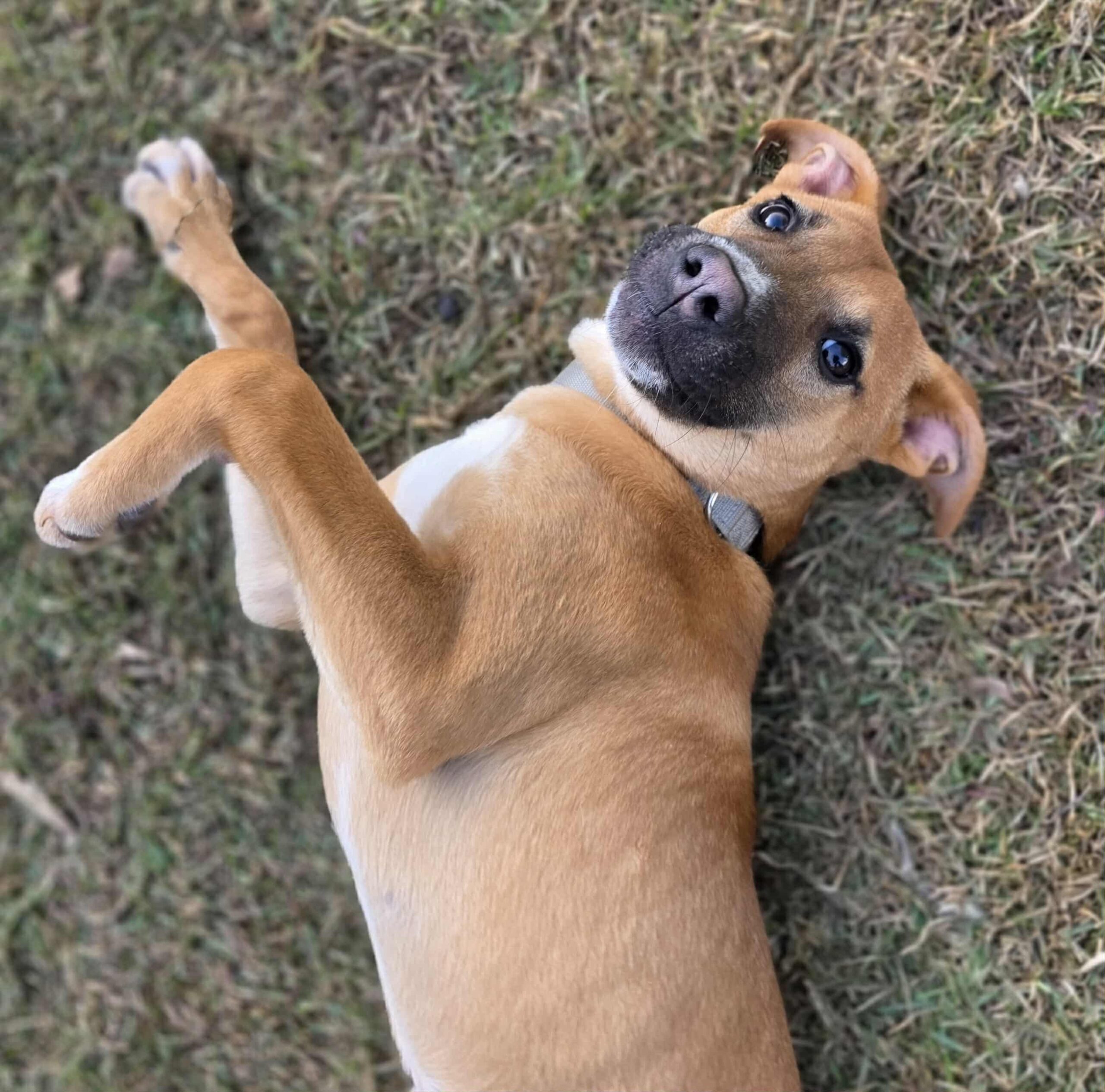 att.Wc1c3NKib7rfiMT3VGGa2-ndL8K1EYFjienO9bs-WUY