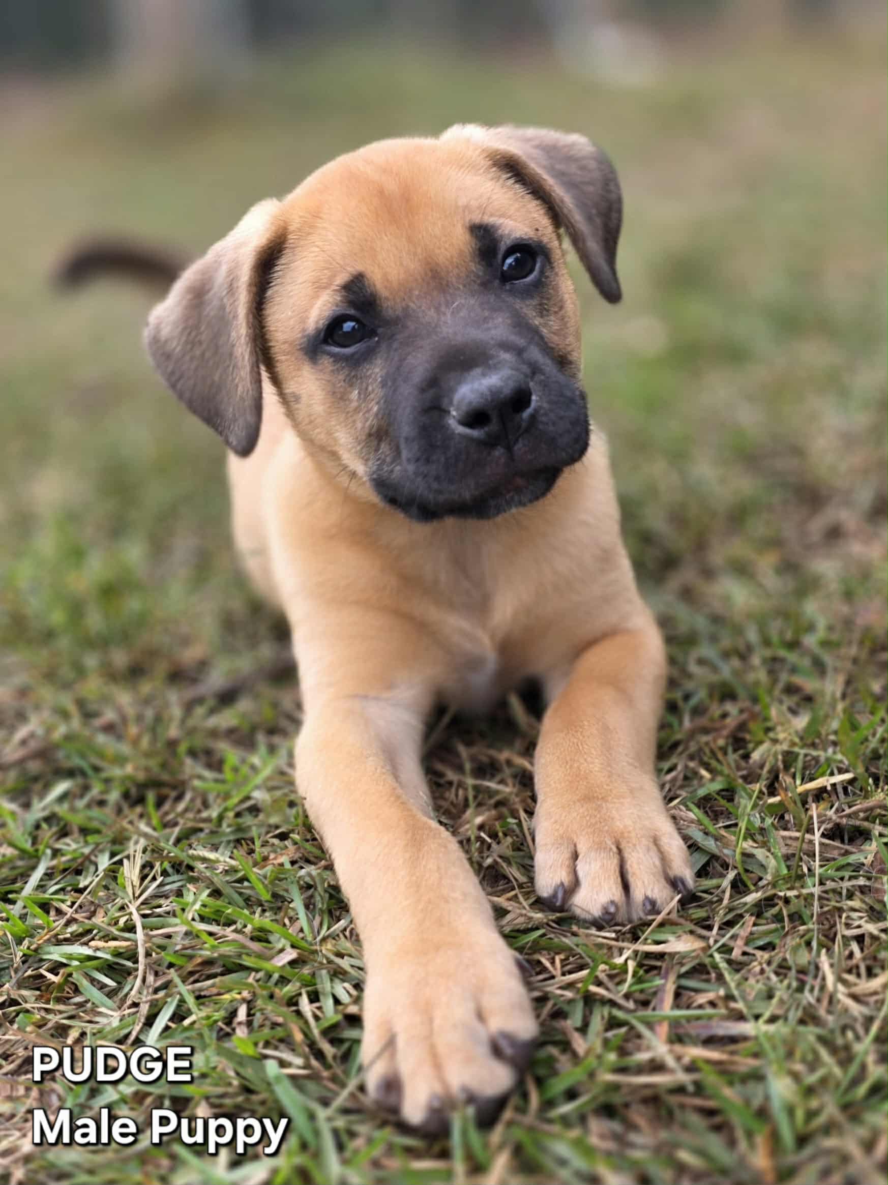 att.dSULCONVuIRjmTeS_o6YkvuFSYz3EVMk2PMFMMKJYHg att.dSULCONVuIRjmTeS_o6YkvuFSYz3EVMk2PMFMMKJYHg