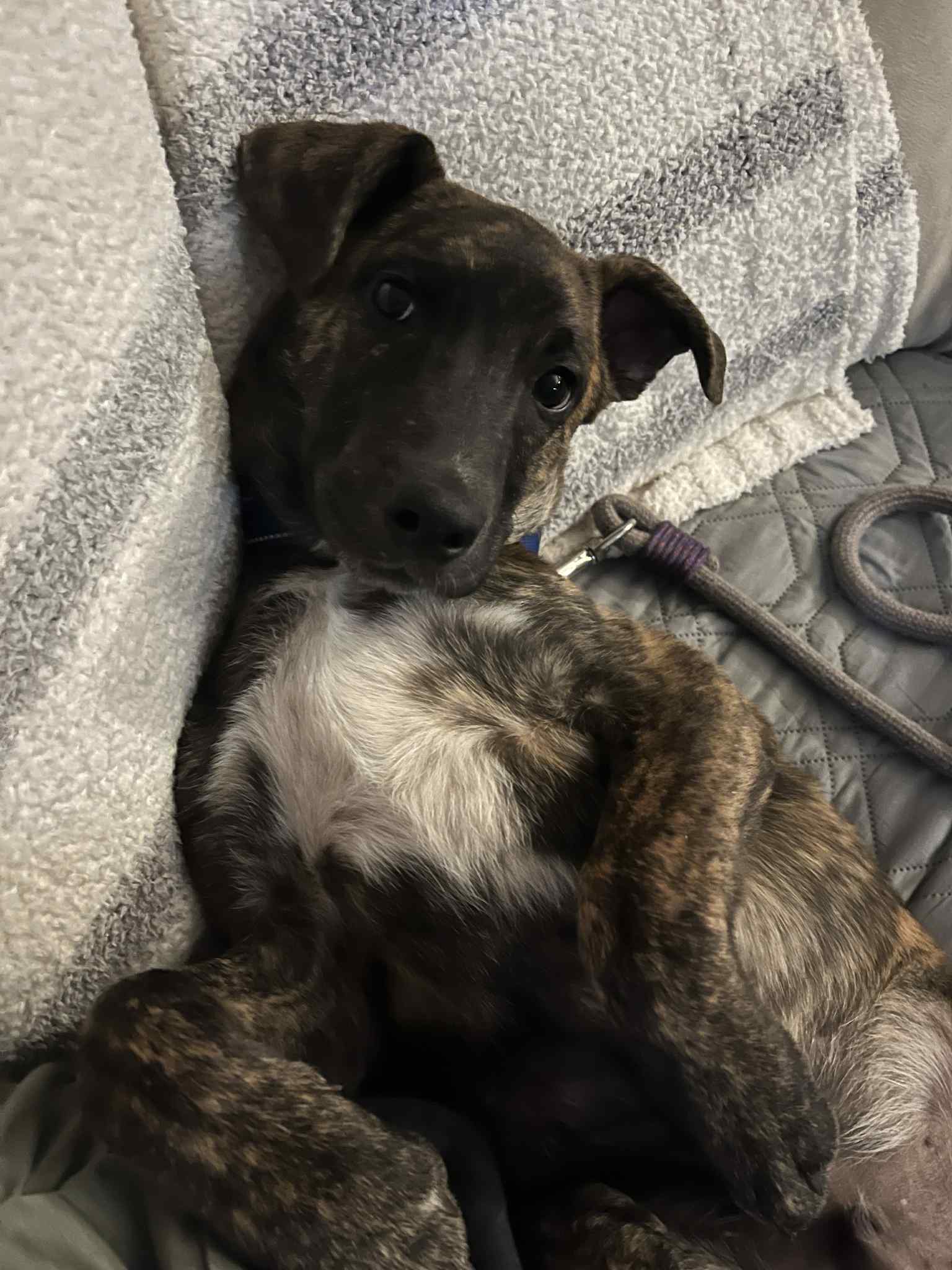 att.qtHXytrh0fGqyyyW3KbruaL6p8tiNmnUoIYvp07BZxo