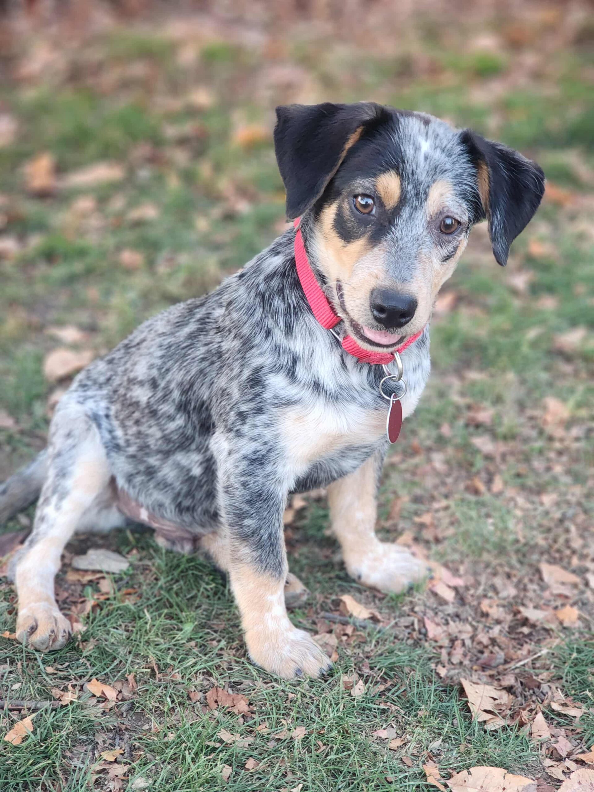 att.r2NT551YiQFLu5z2R_0IOL0j1rxXlcztmtxMGZPZrPE