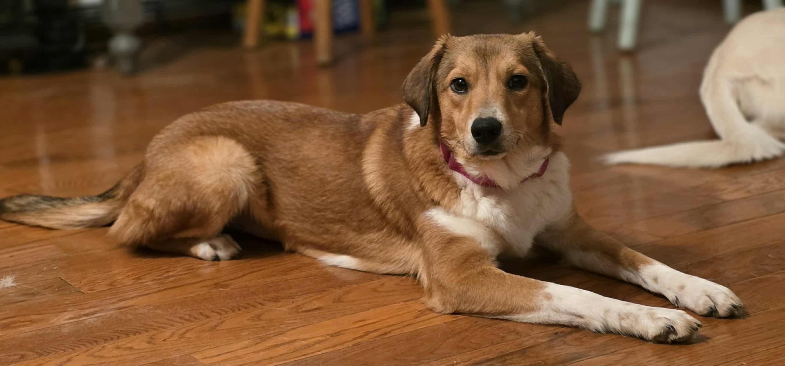 att.2AwpTBxpd4LTRu3lSiOdN1lhL0Hrp9a96MYbvenjZEk