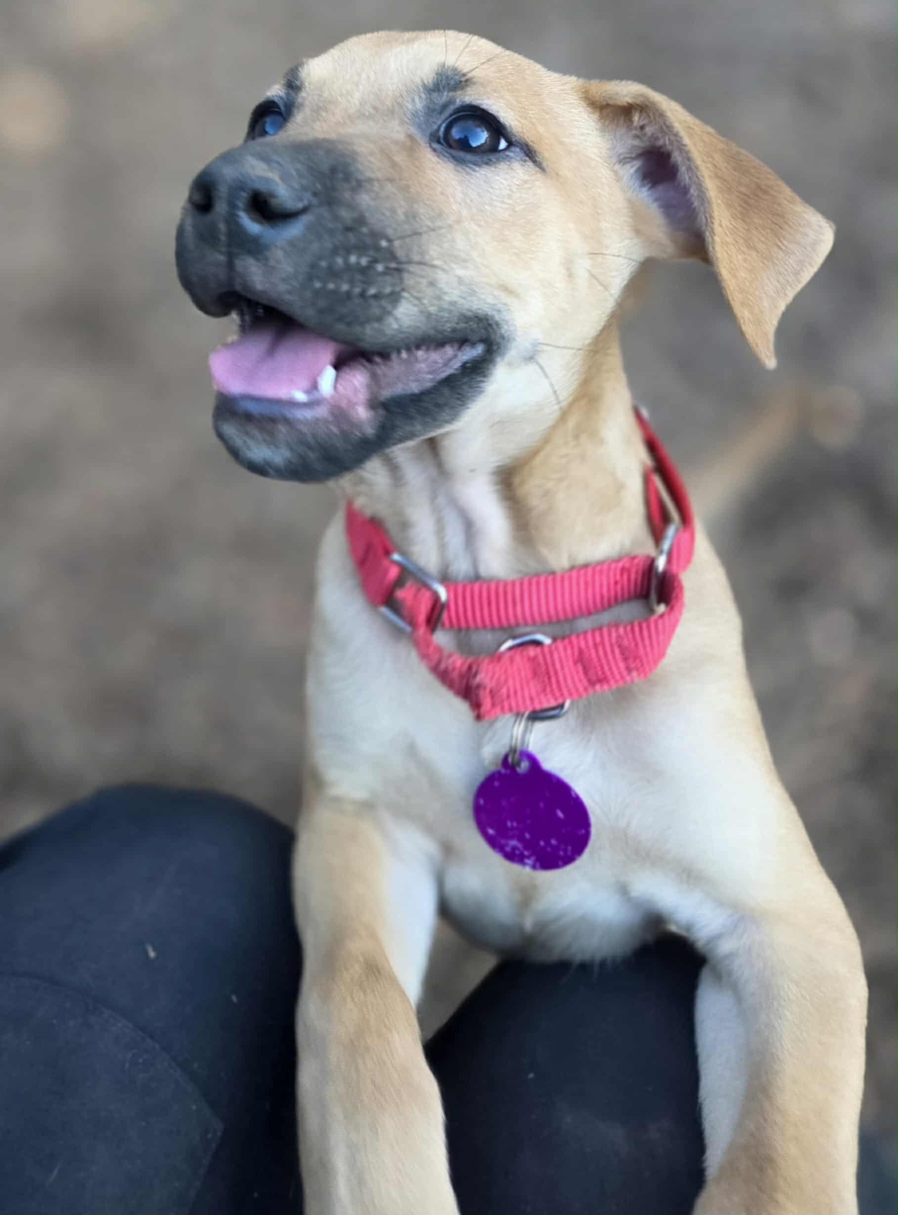 att.qVeN7JWfHft1t_wOTwzSpzv-BpTh6bt_qJnMykTRWtY