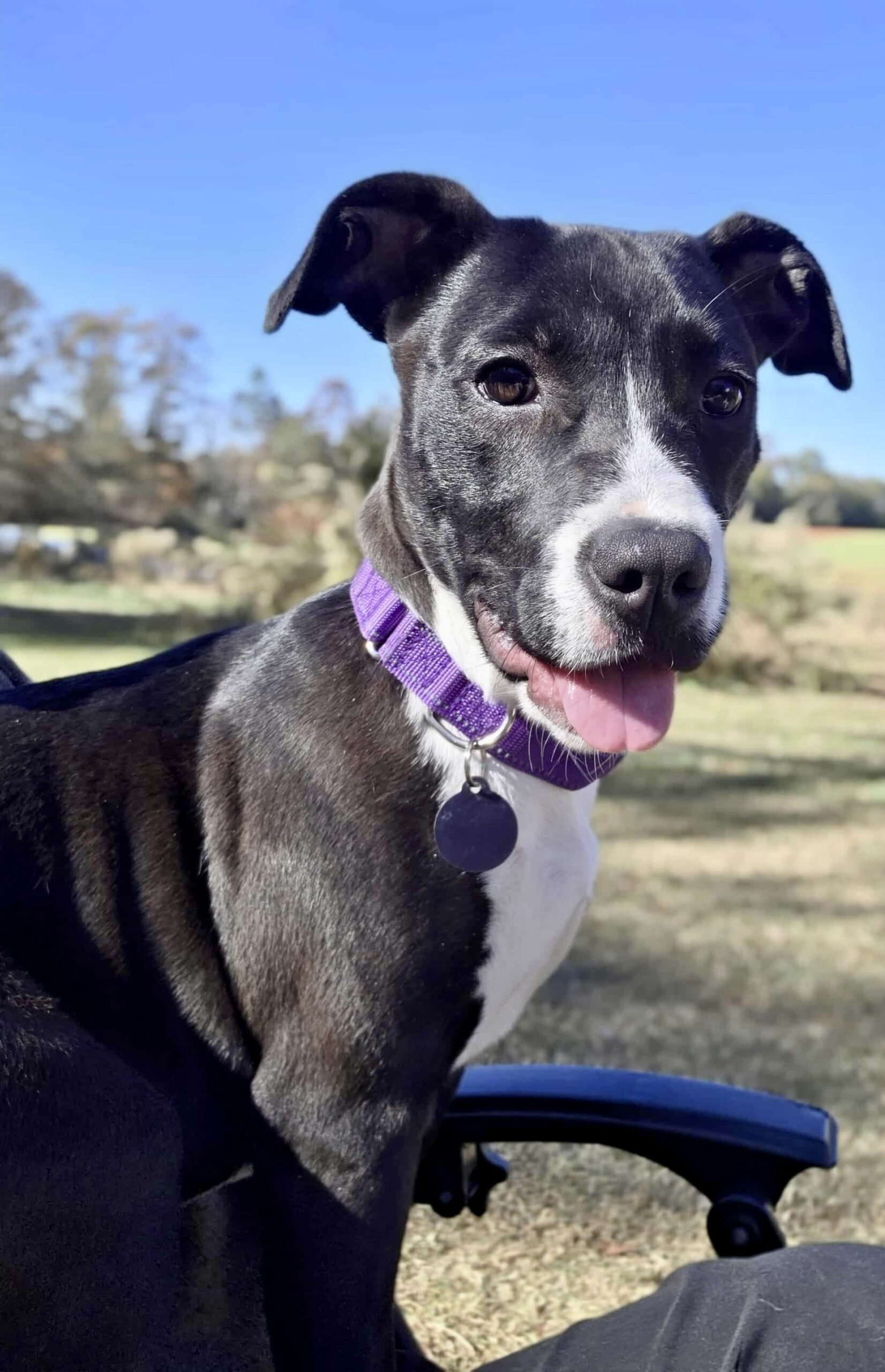 att.rfPTXdYeDRpH3MaekxaDEHzDespX9l7ydkmjClTgJmA