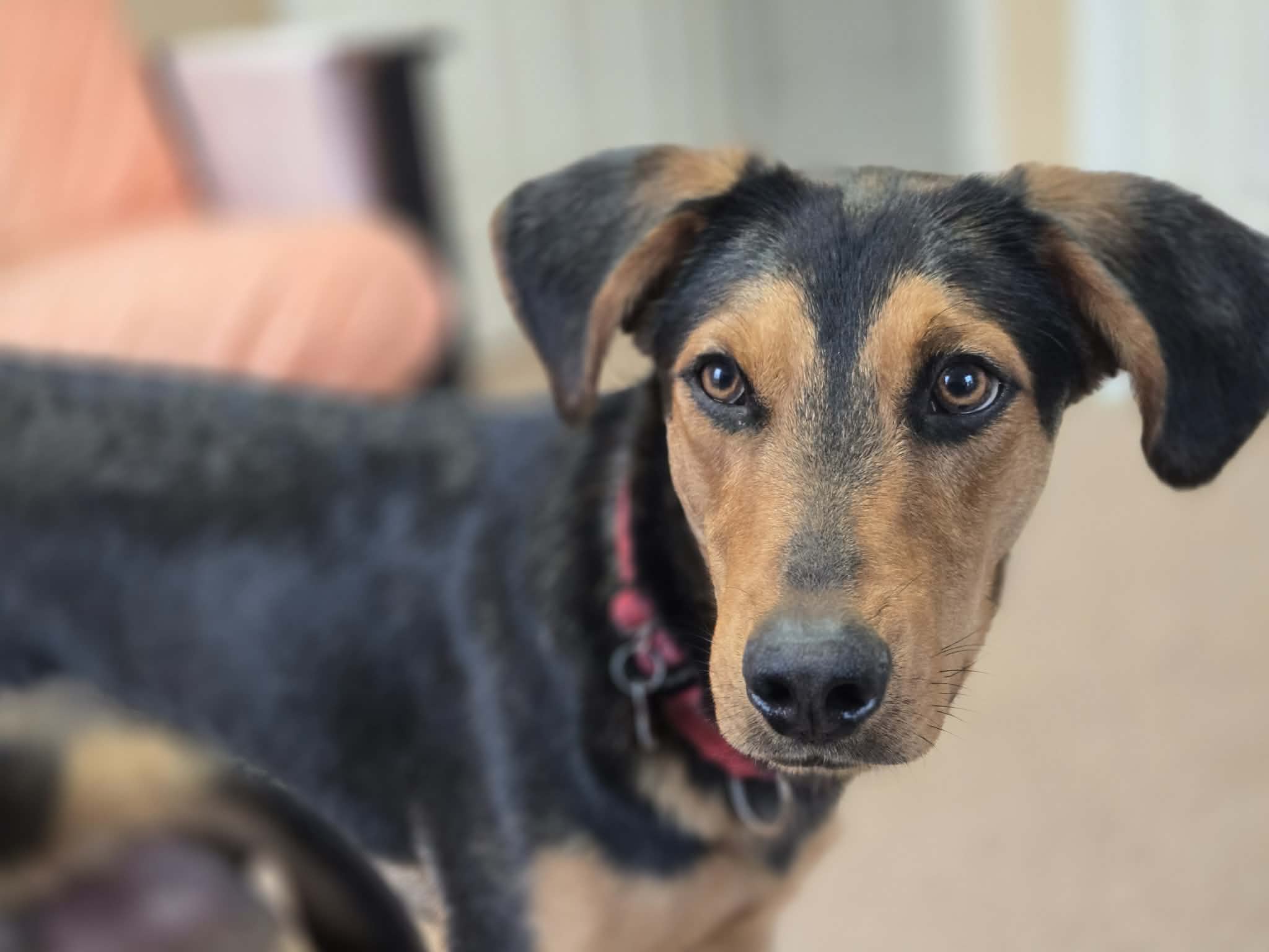 att.4Csg6TlJpRWwm465hkZ0uZ7nbrXV_mTzURBzGEWnJbA