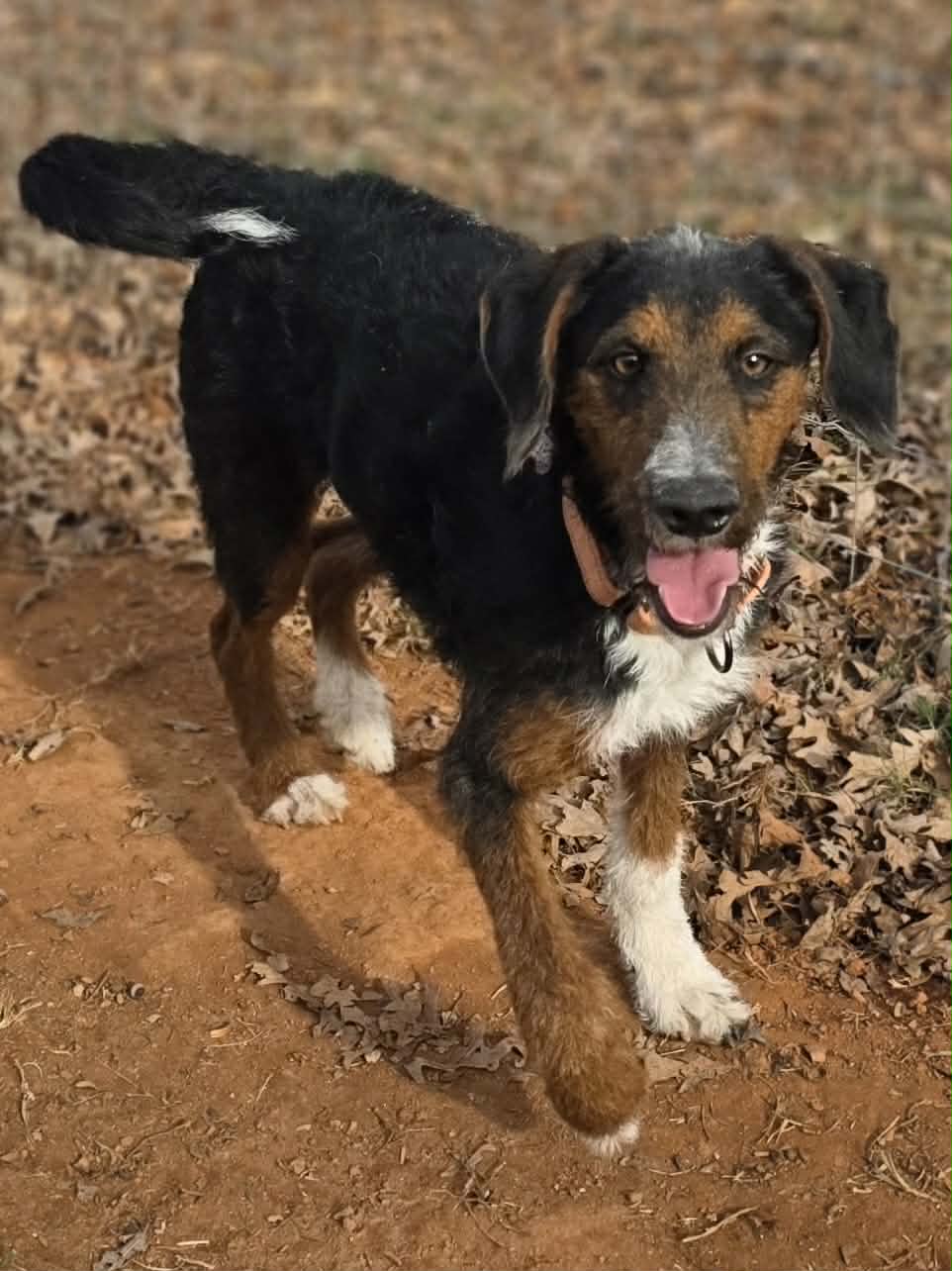 att.A1LI3ls5m1INjLTdLeDBUg7-sAGm-1GTrD2qK3YPZI8