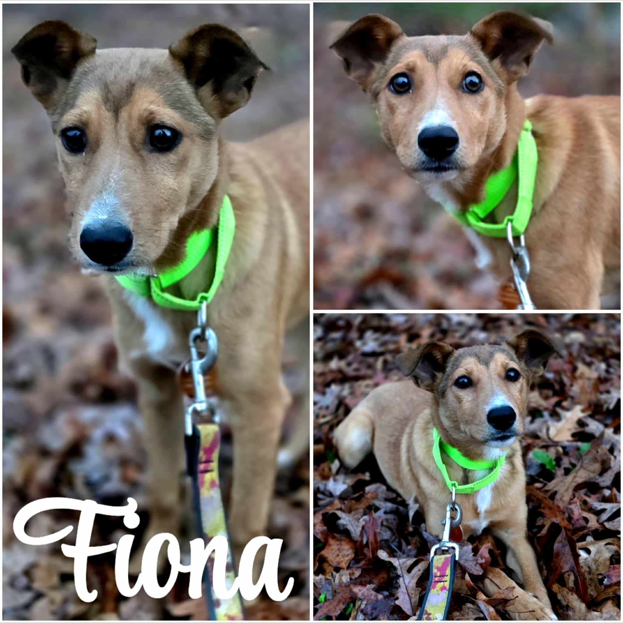 att.KXwNs71_KuibTlPx3rCLoqO1iTyR91R37dvPdZNf8dg