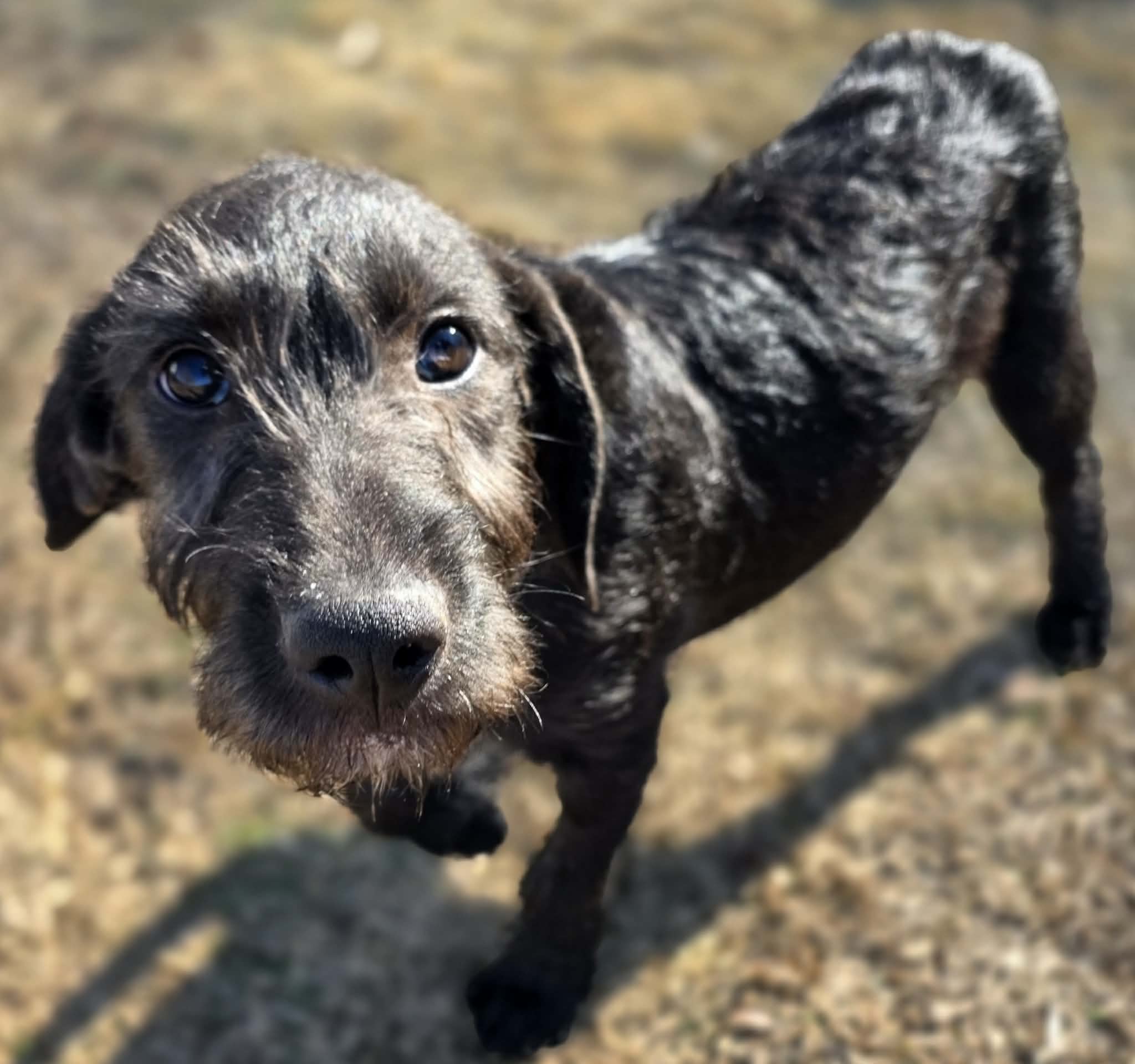 att.SCA_R3IupVAJqJ1H1hQtrfy-NJHuyUp07R-ajBs08oU