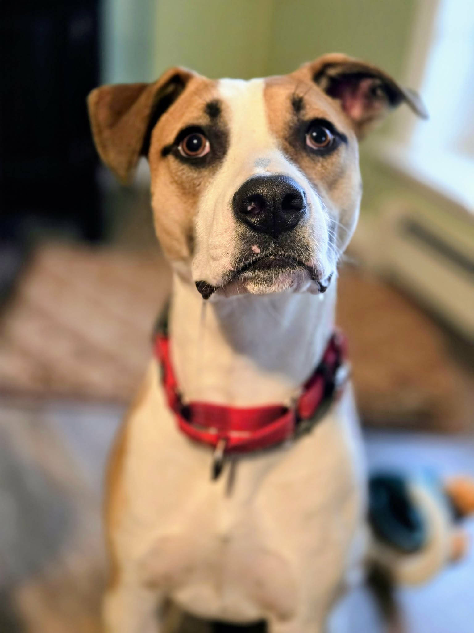 att.UMuYv5e_YA2pjf3kNumrvMa5oby-VqYyJVgyA7o9dQ8