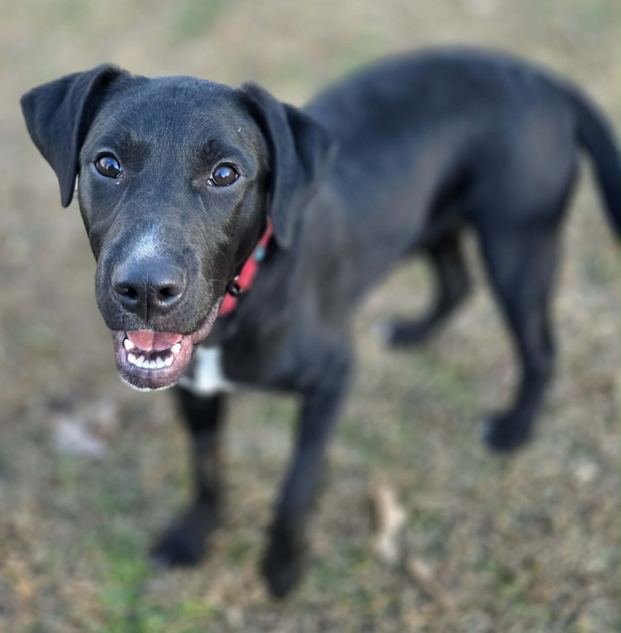 att.fcjPc4vYSZ-n-H-07R6VoQ1StToiDsbkVk0d_NxjsmY