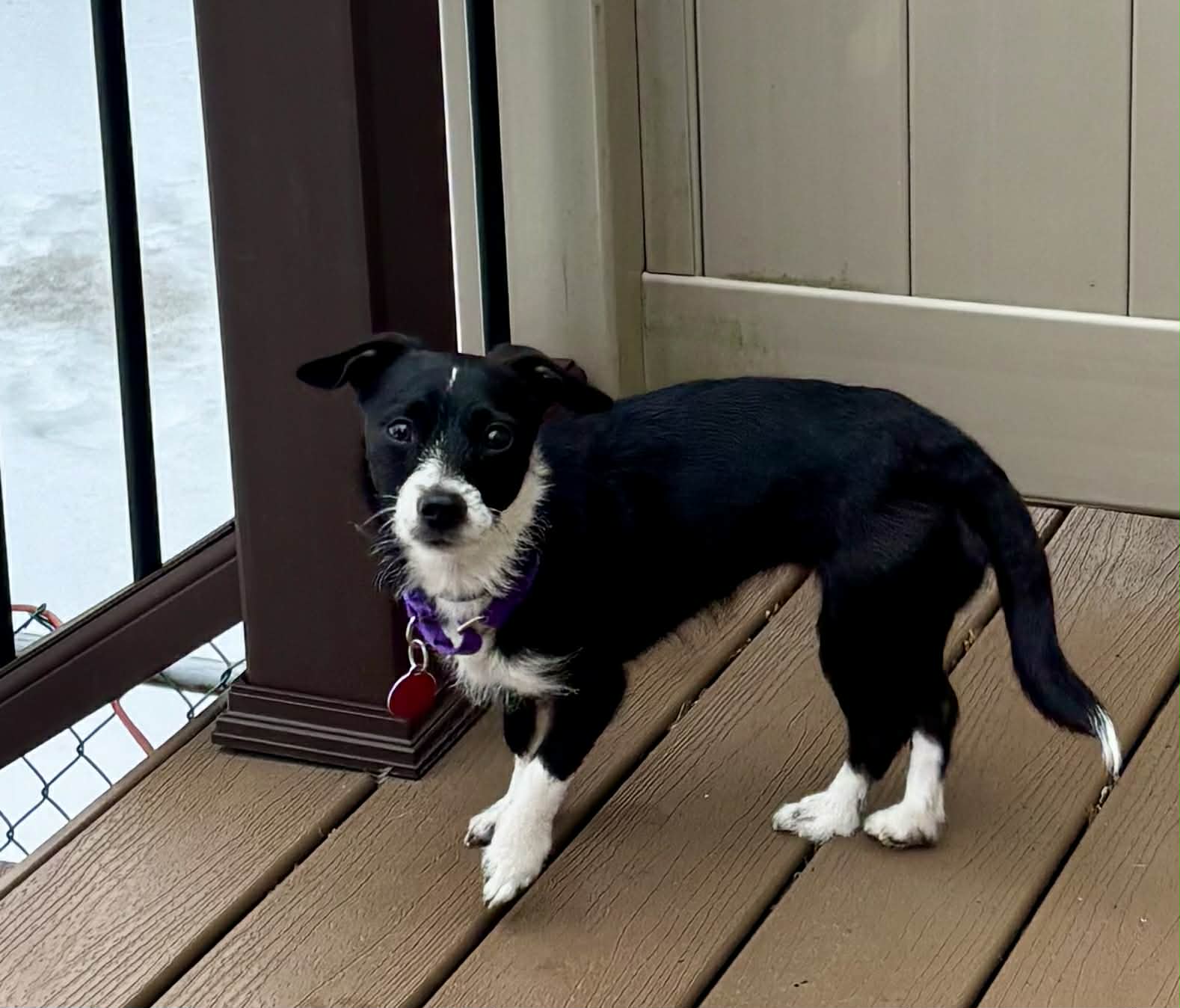 att.hSWViHX9pyIEcVqutUsouSevx0jTP7f33ouAPaQxIGg