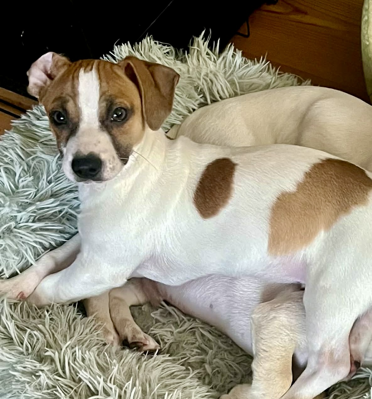 att.n0djczgR39NKB074b0o0SHABIn6kOex7OExRZCWn-d0