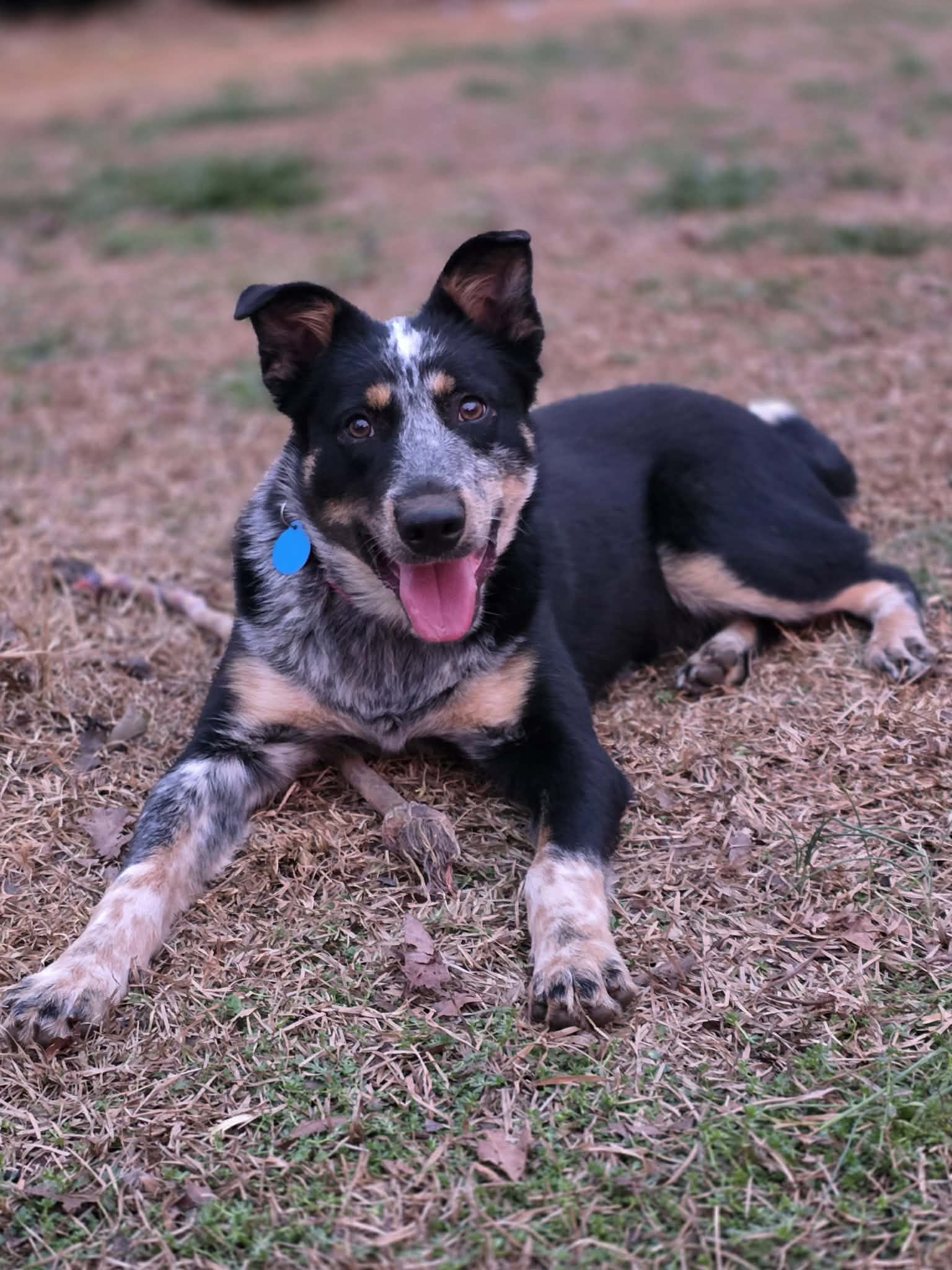 att.--LGgTD4UZr_ykvCVjYm3Yyv_qvNRJcjvObSTl6WWKA