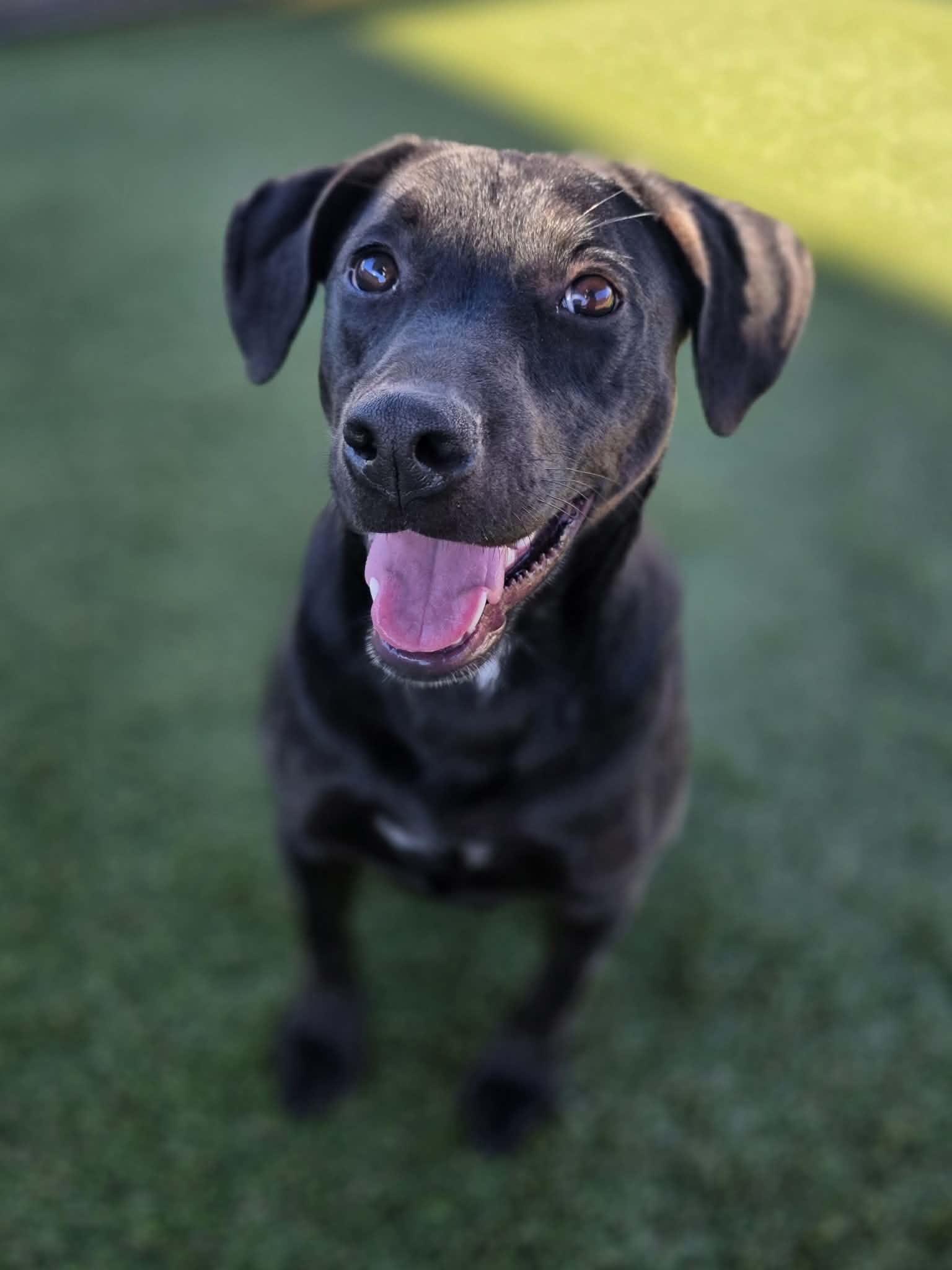 att.09awBjyWpDshizyFfM4XTgc0jzkg3ZJCAuuJOEn9_cc