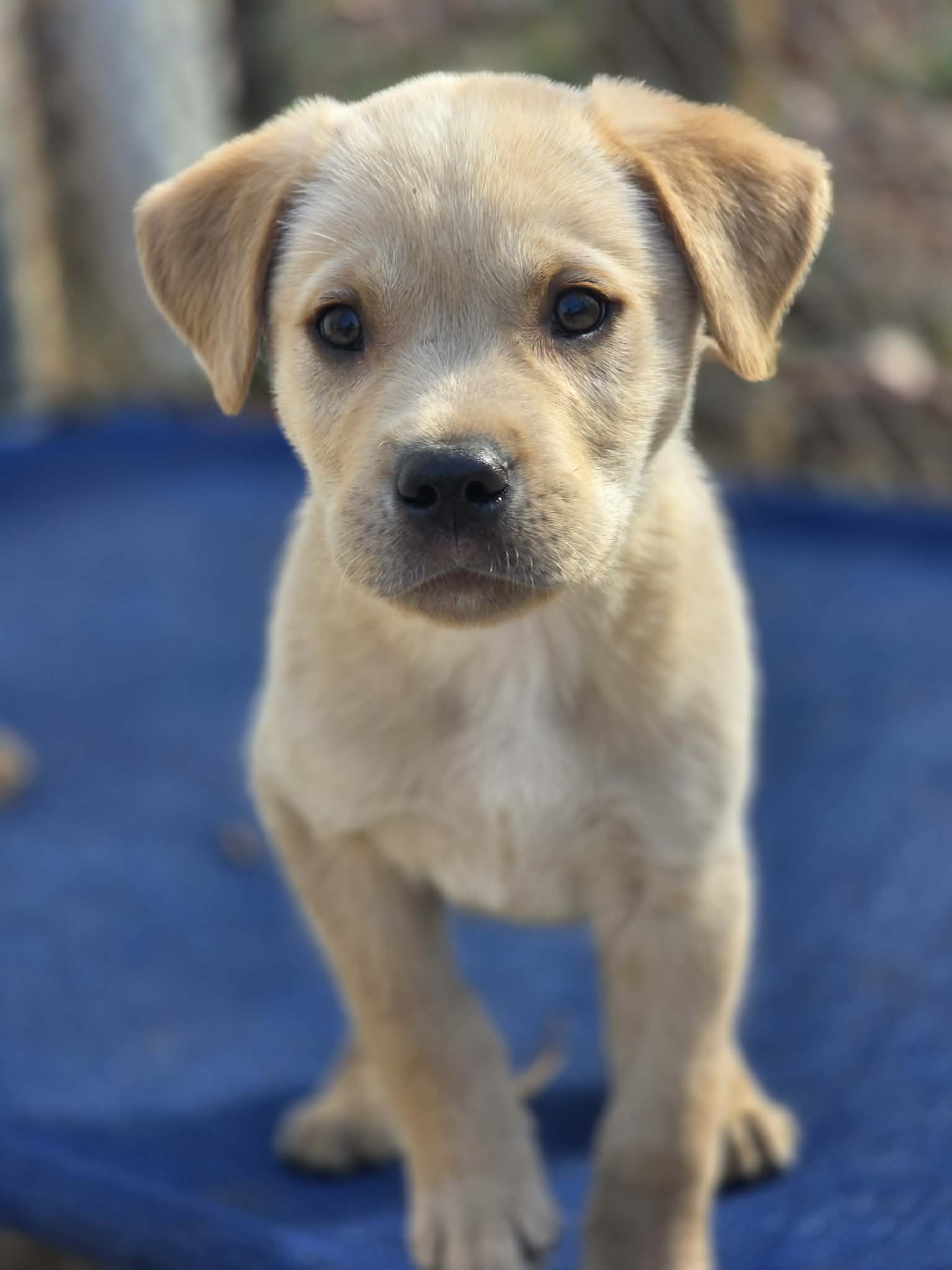 att.0TW3jfqa0GLJMI5xQGB8djjUVpxAClwLJsv4DxIlJ6U