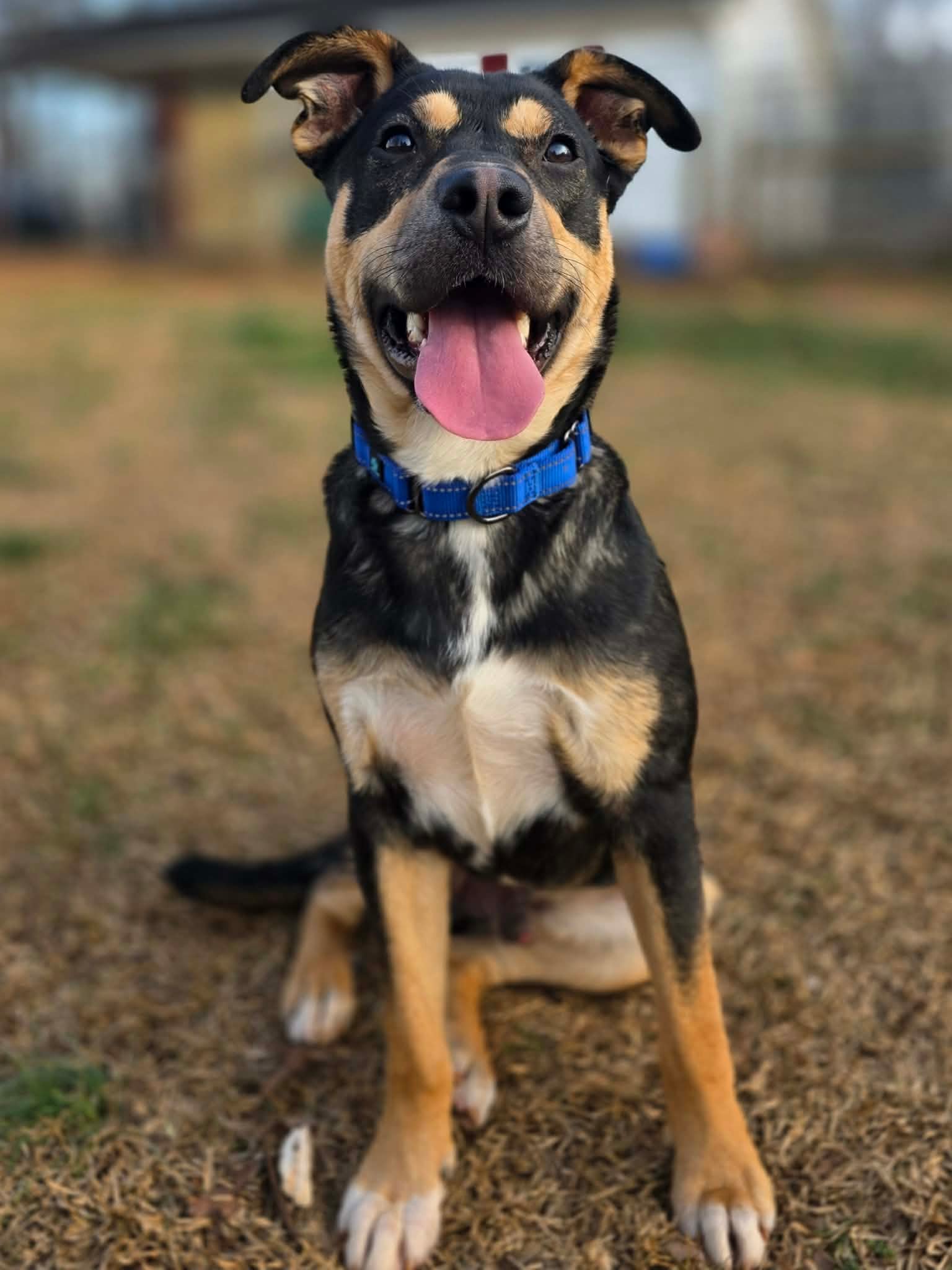 att.2IbNhn6foTbqwUbP30Og60IOF5ftSWM1BGzdrDI7KXE