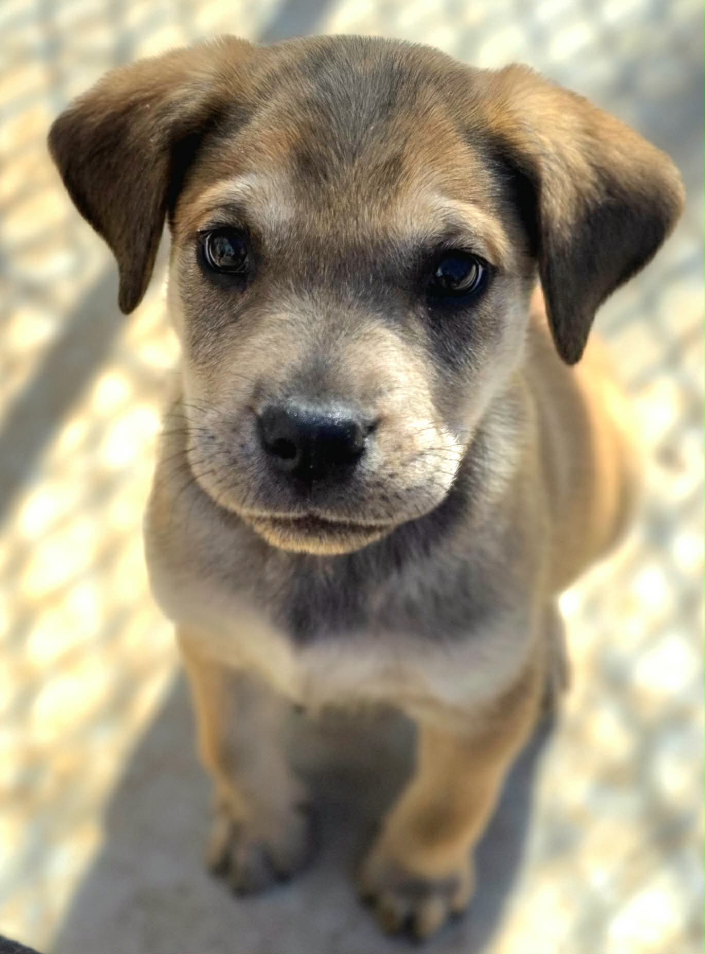 att.EYlnxq4-tSJnIr_mK4Ofy6cGCJpITSNIKiILgs7v1VI