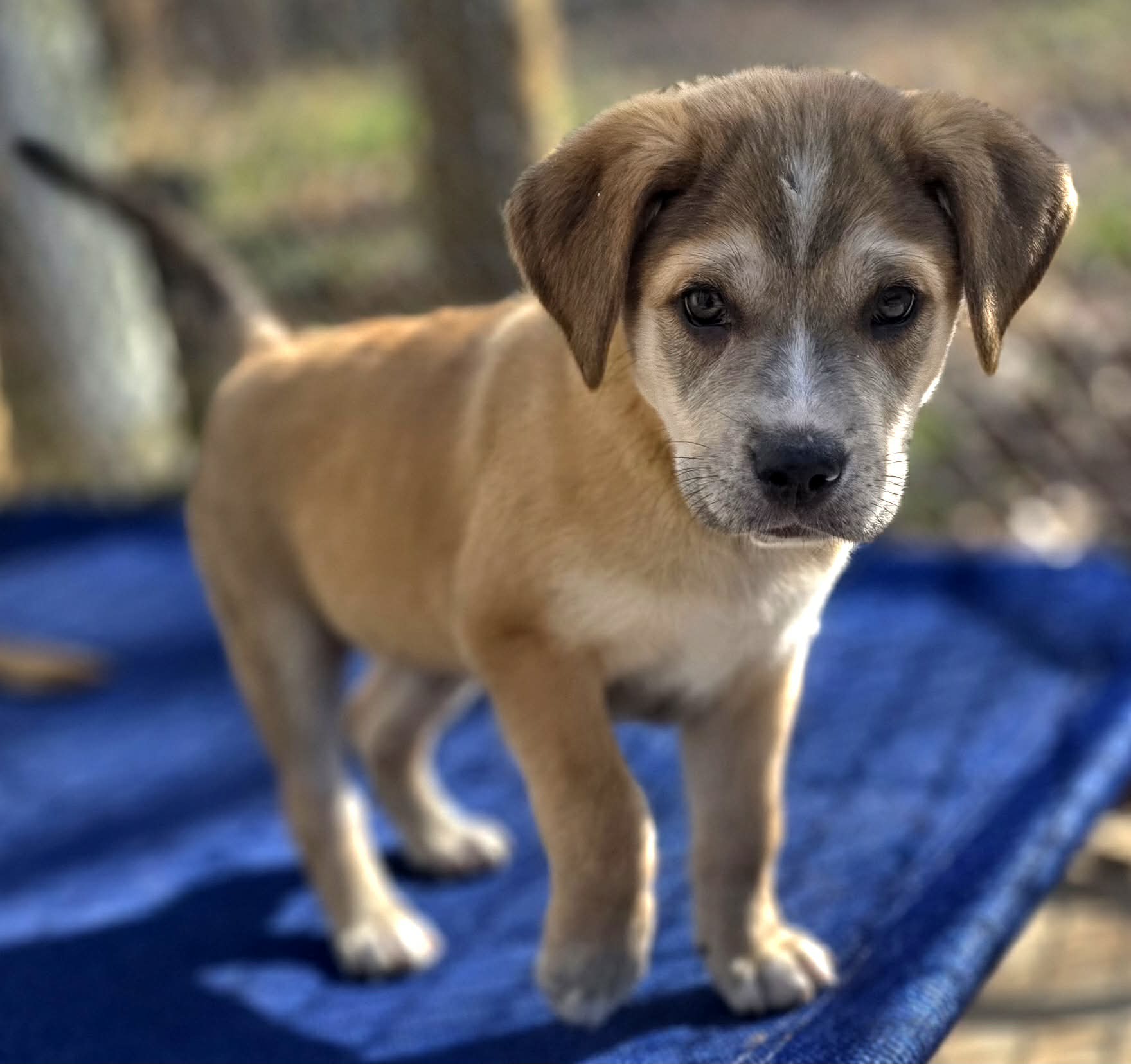 att.faTVecimgsovxbB56y0me5FfrM1HbMLg4VjJ--mtQeI