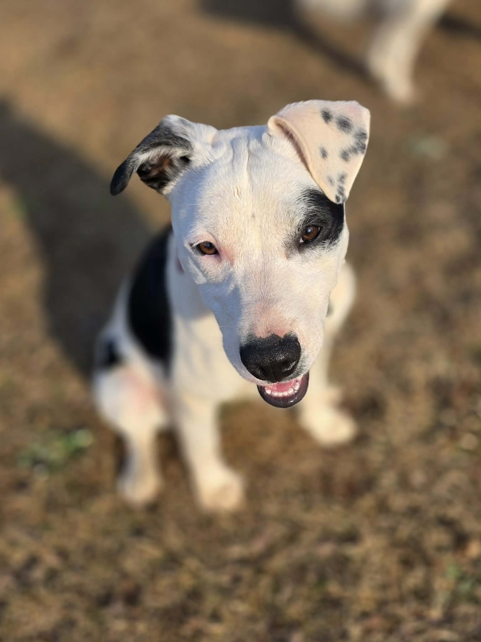 att.j7x82yxjMsdwjKmO8WtW0Yi-pRv8C3NG9gztZVj0kxs