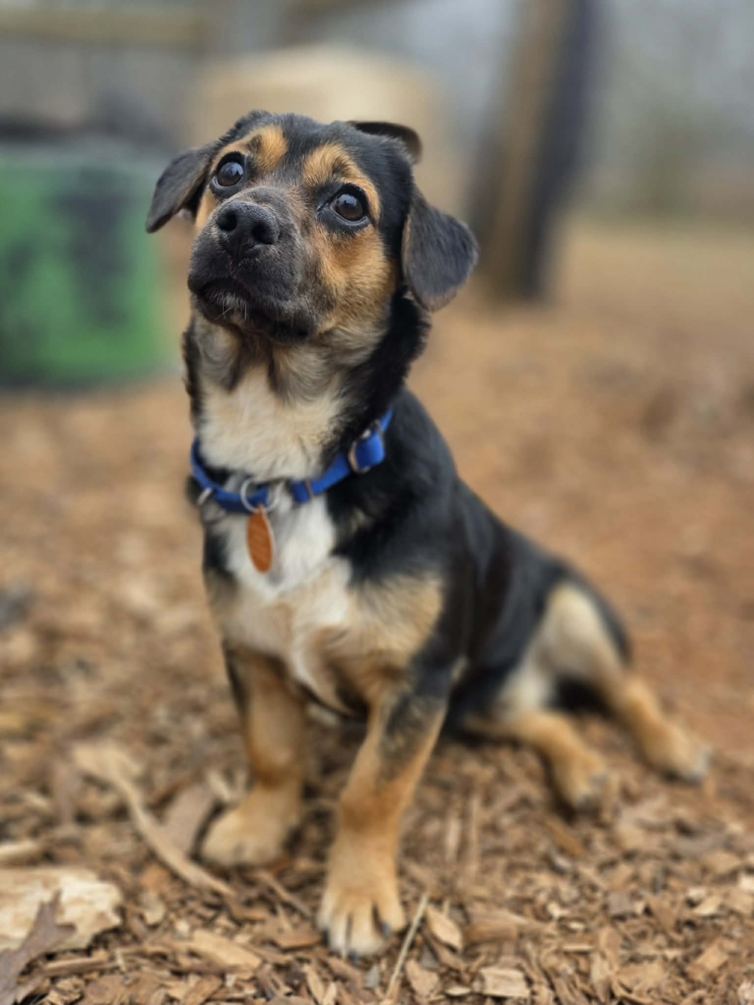 att.lwFsgdMT8d3V7YJpEV6_PUkFN5tA74AkhhL9lrgivME