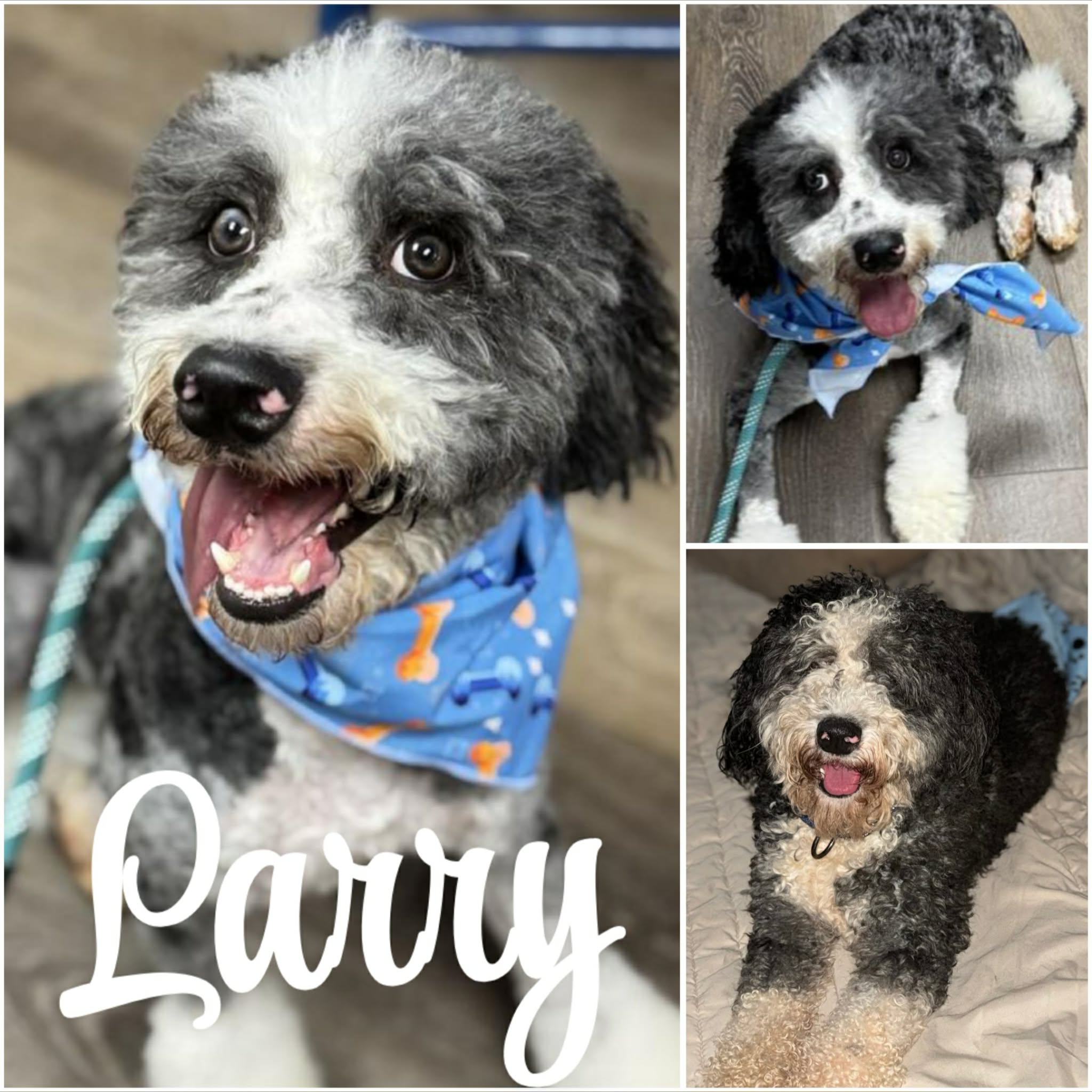 att.0f9mc87zXkAXq7JLSE6KMPeG-xKJNPhwAgds2cEIjDY