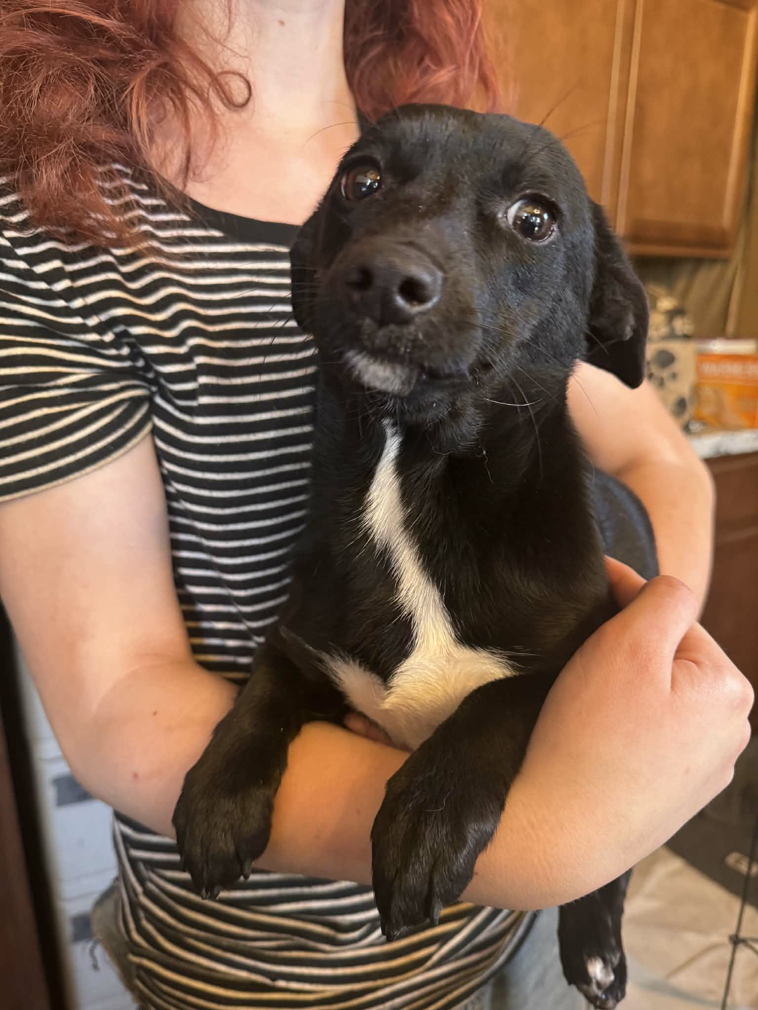 att.1Imgf9Wiq-cnMpcl1-Wt0sQSlZUvzthV0Ba9qVEAiqg