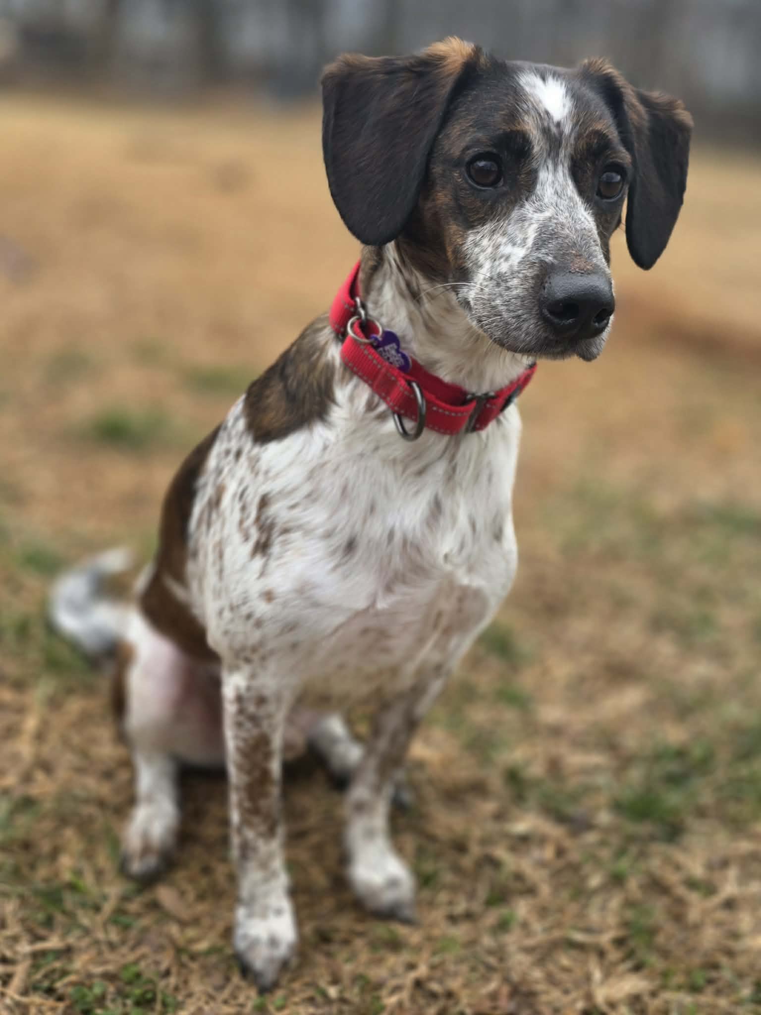 att.7wFjodJVjXNlVITS2xmS9LGEi9XhQWKr3jSguL30drQ