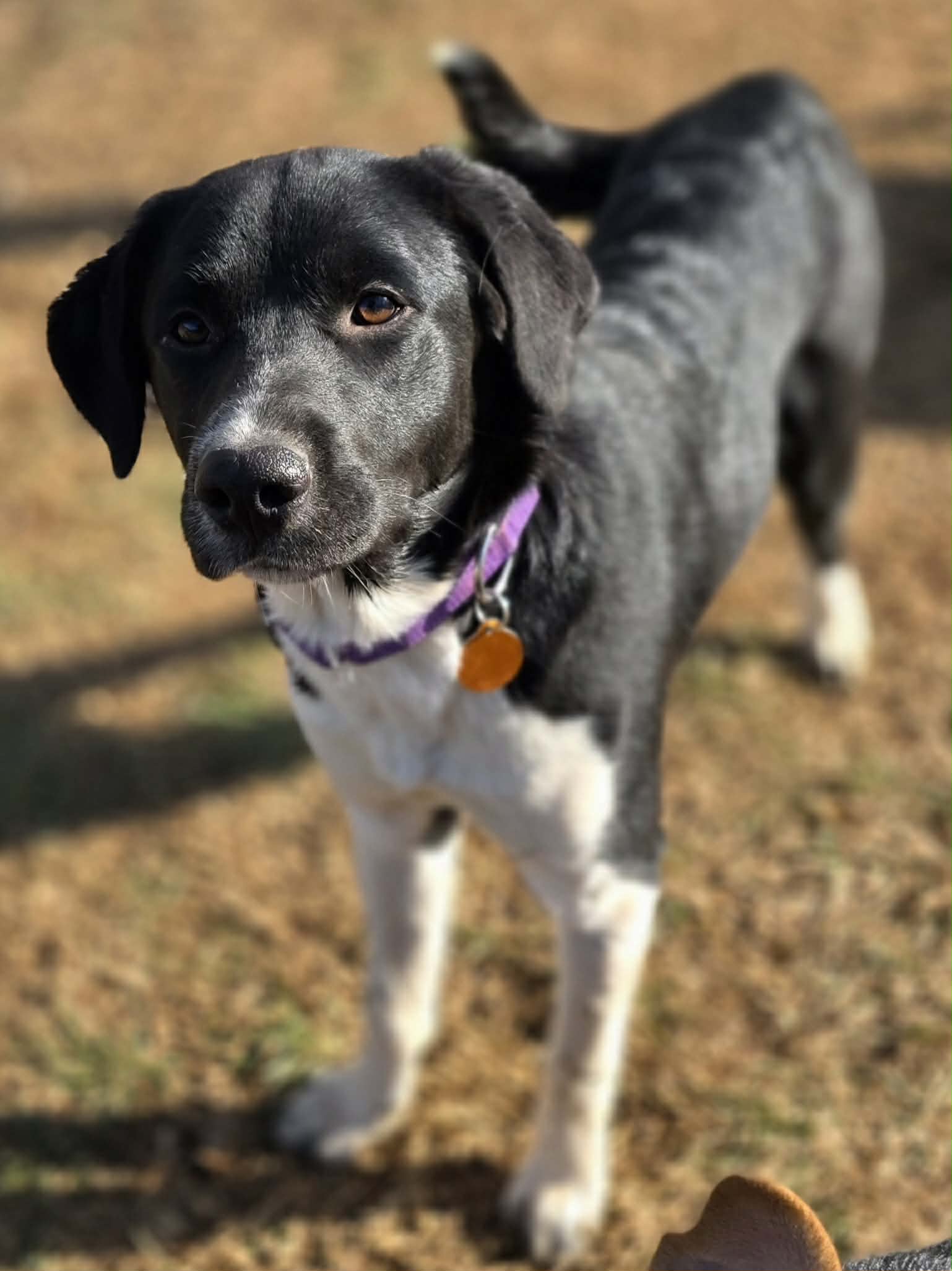 att.BaYIi0nirkONAABHG3ZPVytd3HK5KvwguZUV4a_Uub0