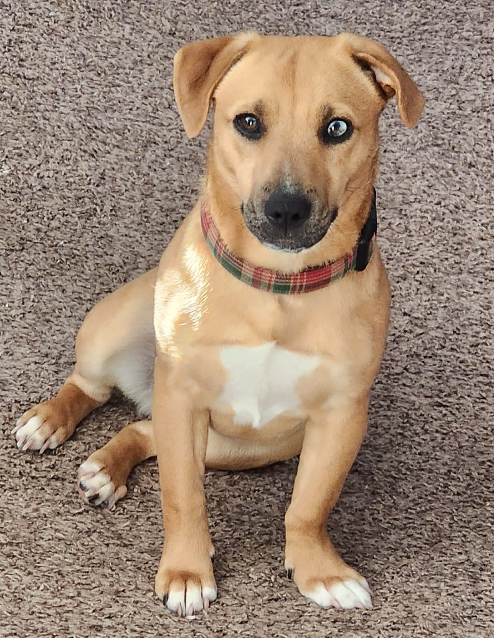 att.BusQpO1glJMJL1SFWjkdR9IEasu9gz4se9Gc3YpKMDA