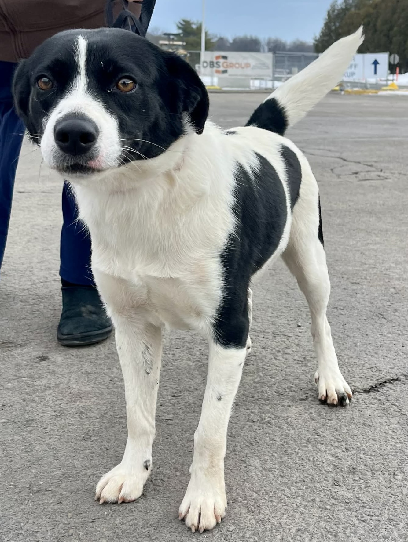 att.FB9NB_EqEO376YgAE6qxnbDcSrXgecHjUsjVeV3gdRE