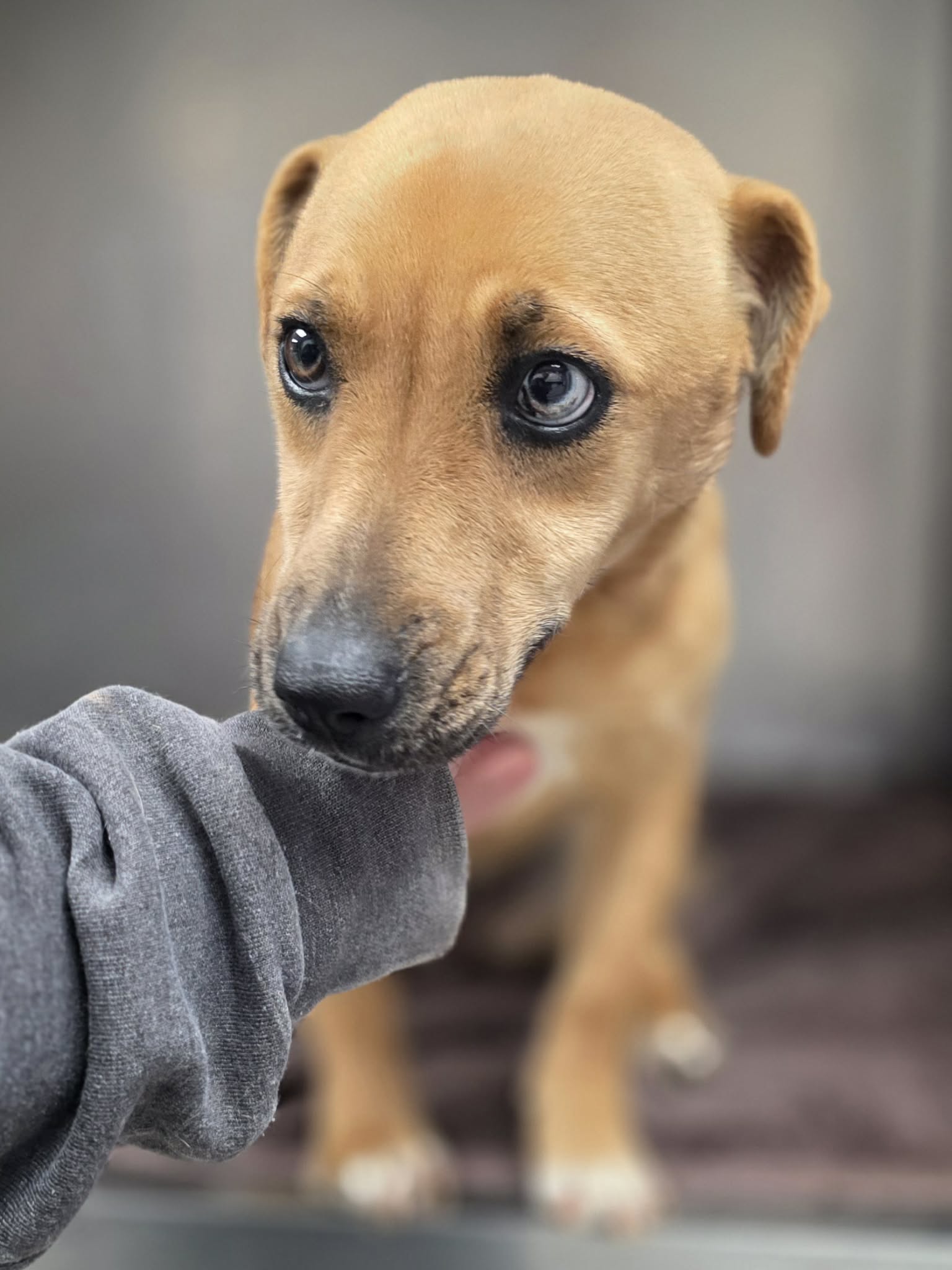 att.LXzZWG-UXXVOdjotH670jMNNOdoW7LvID_lpjQF_8RQ