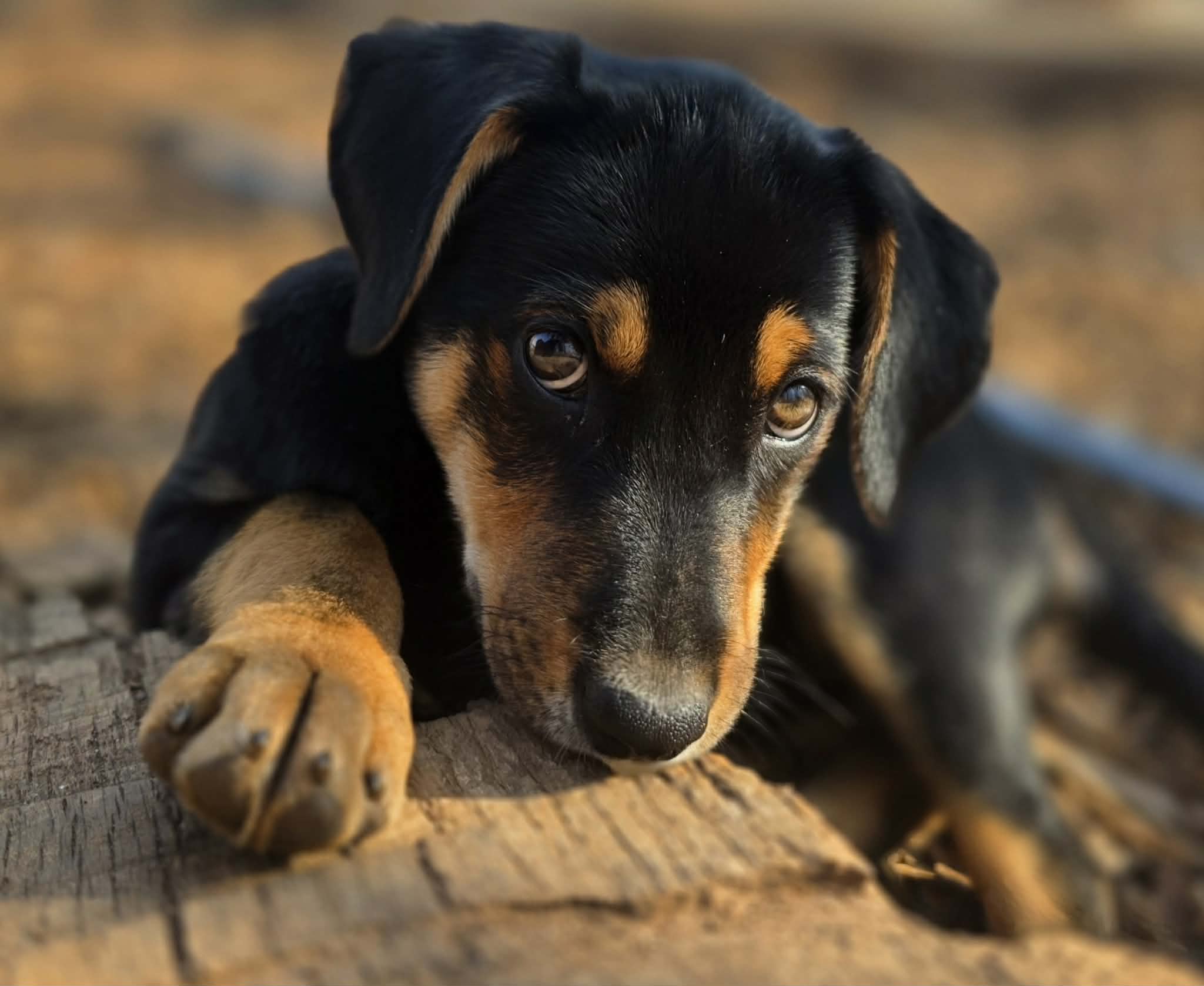 att.dGHLEUiQuvtYJQO3fvo0QZETR4E3CLrBW_TdeSWENag