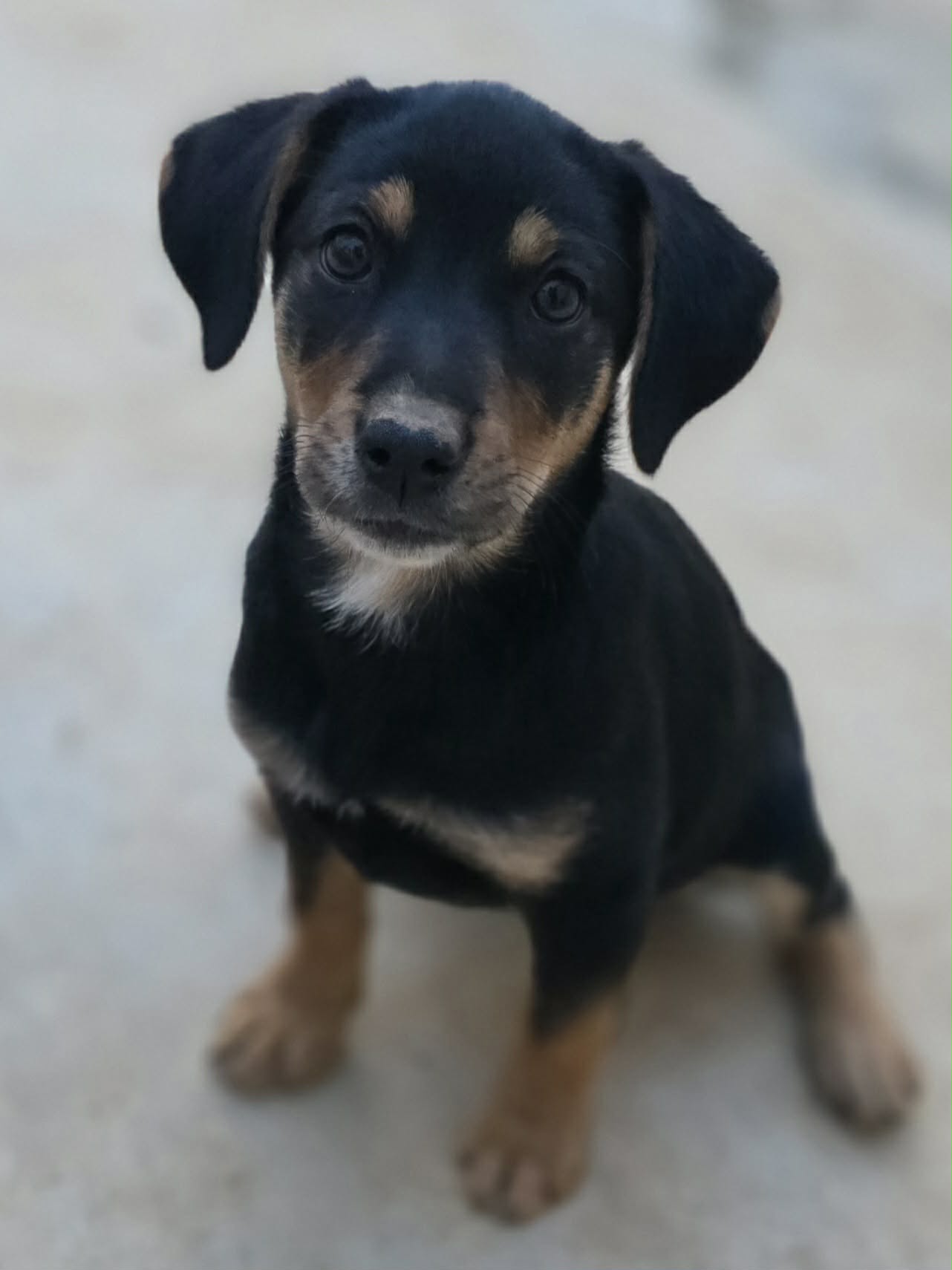 att.kjkhFomktb0bkwGE0tOGG3jivSqeGaXKc__tbmdM62A