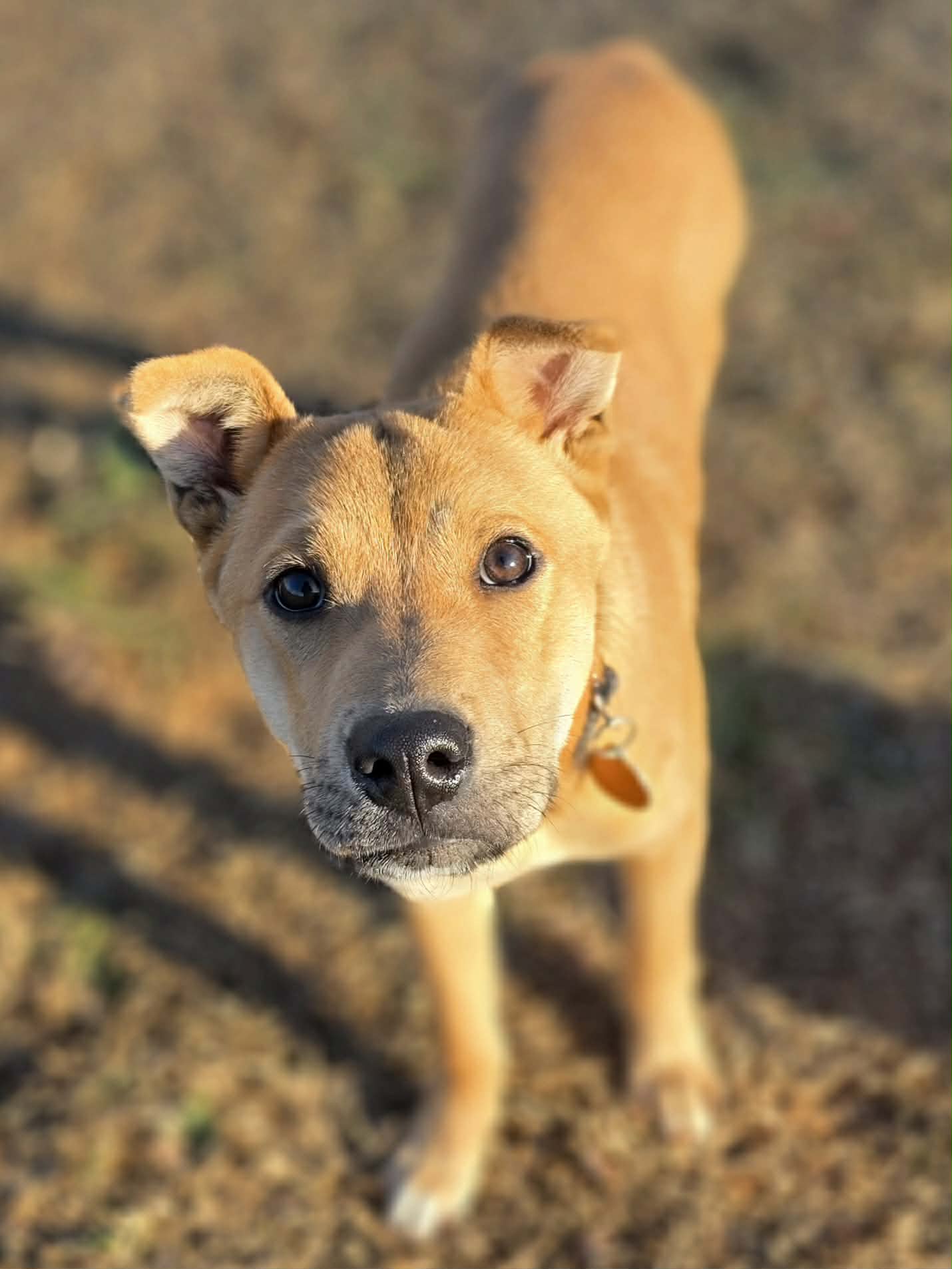 att.nwVQJsyxu9fPreChUZxfJjP0jtIFOHYvxHElFZvROQ8