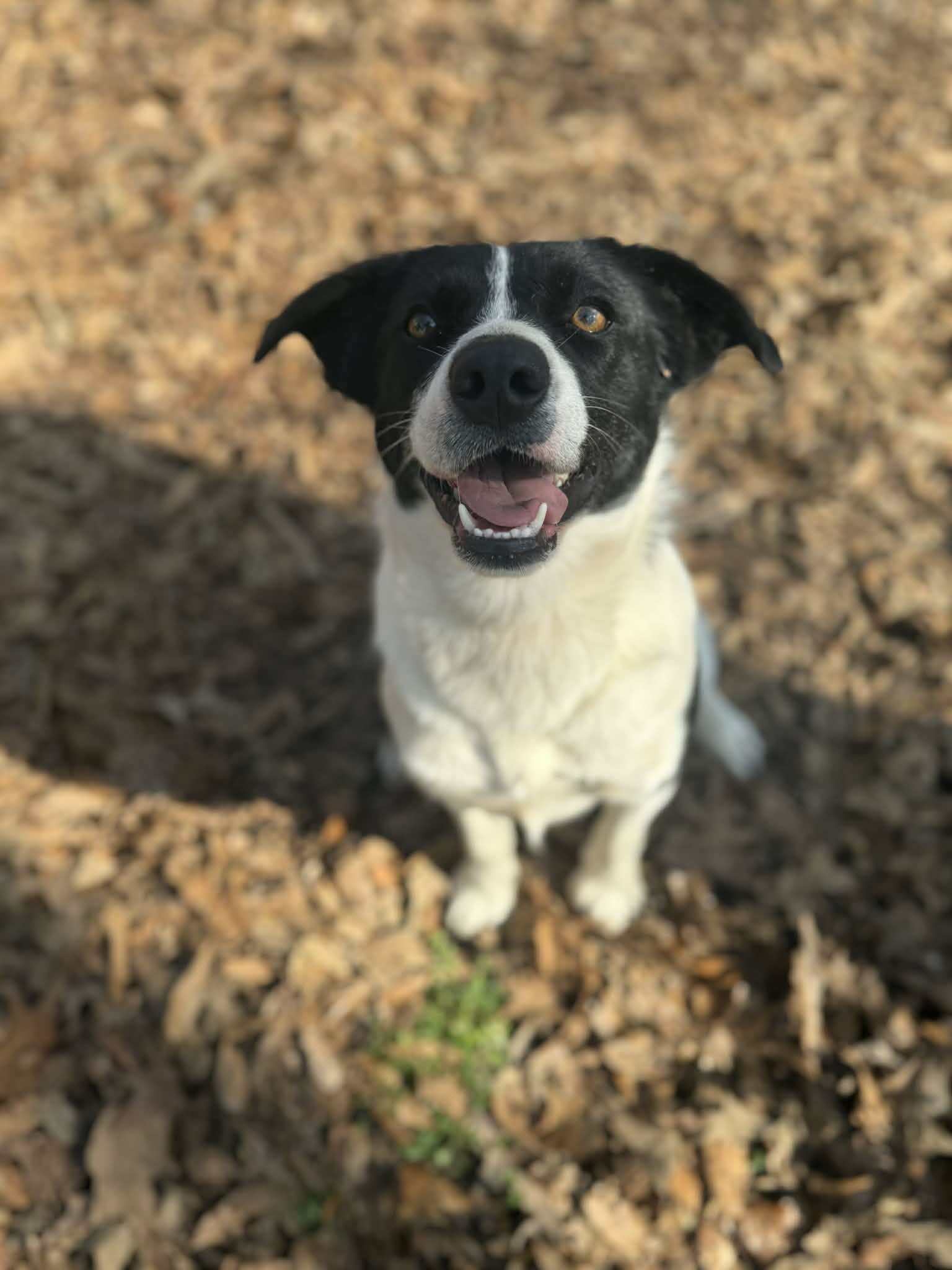 att.vbn7TznsjZ5j2xu178oTzP--F6k37r3LPZM9bDjJ7Tg