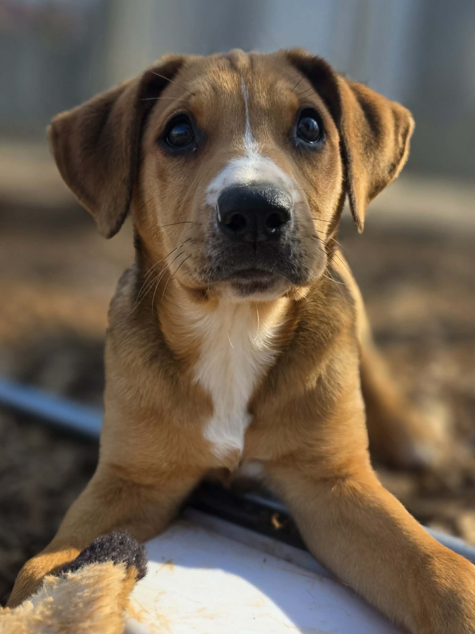 att.zvDY-S4SilFQ_GqlLUhDlrH8g6SlvlAIm7g7b-lzn30