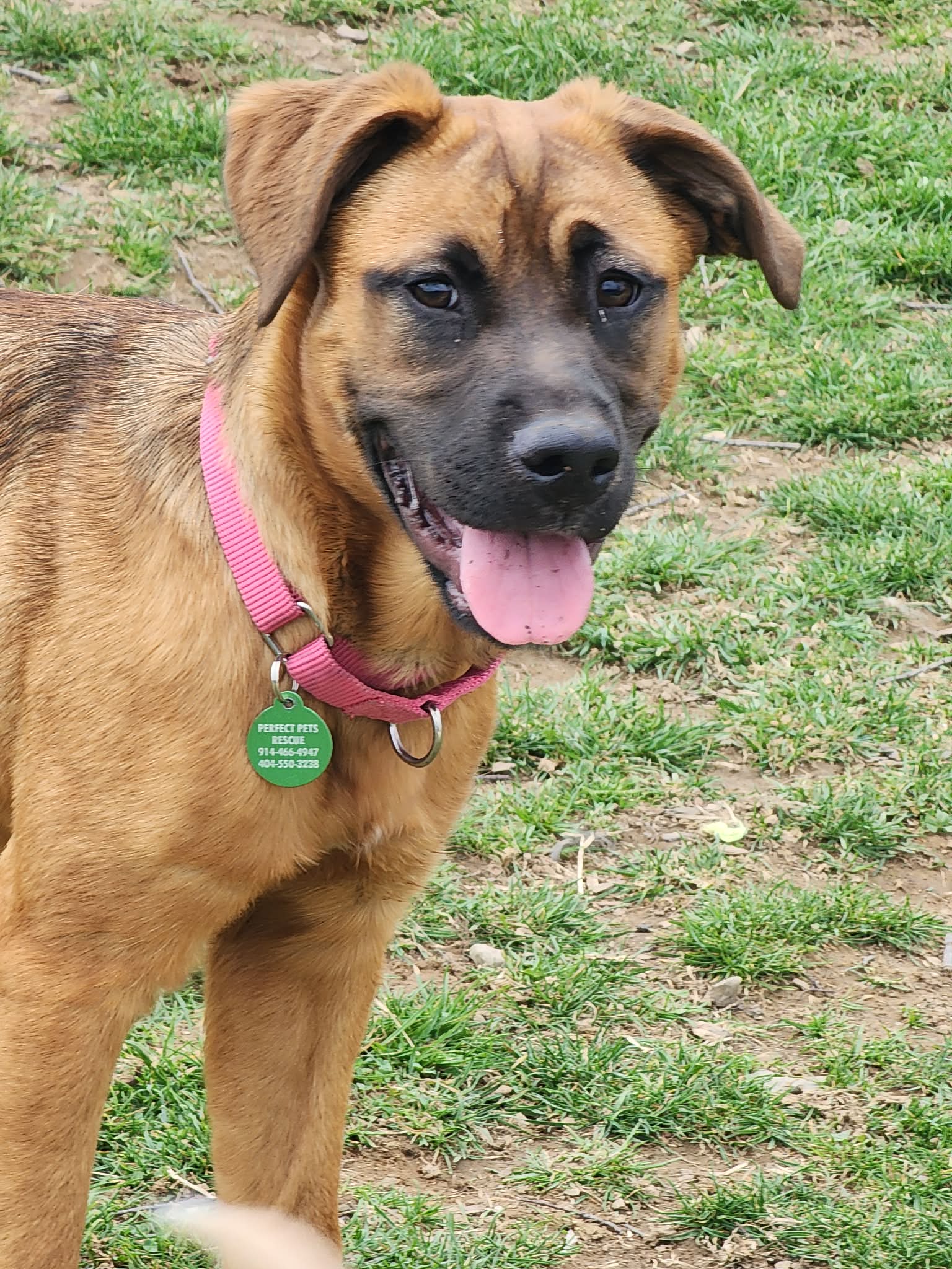 att.7FgIyDuLl4Kp5fIM0PeHiCo6SJd7rdaVcFlU6geS-PE