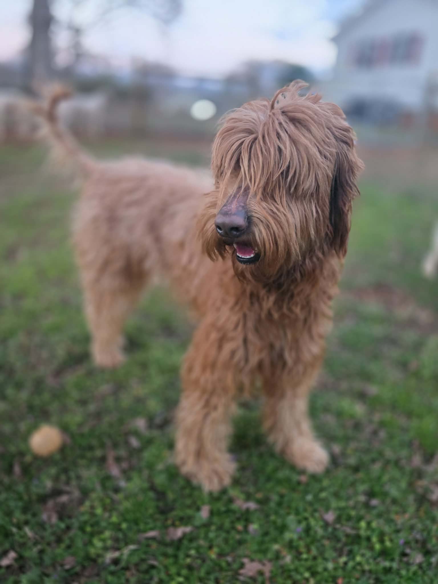 att.7P1r3N66a79Evzr5caTjjzstOCtHUlrwieXb4xBW2v8