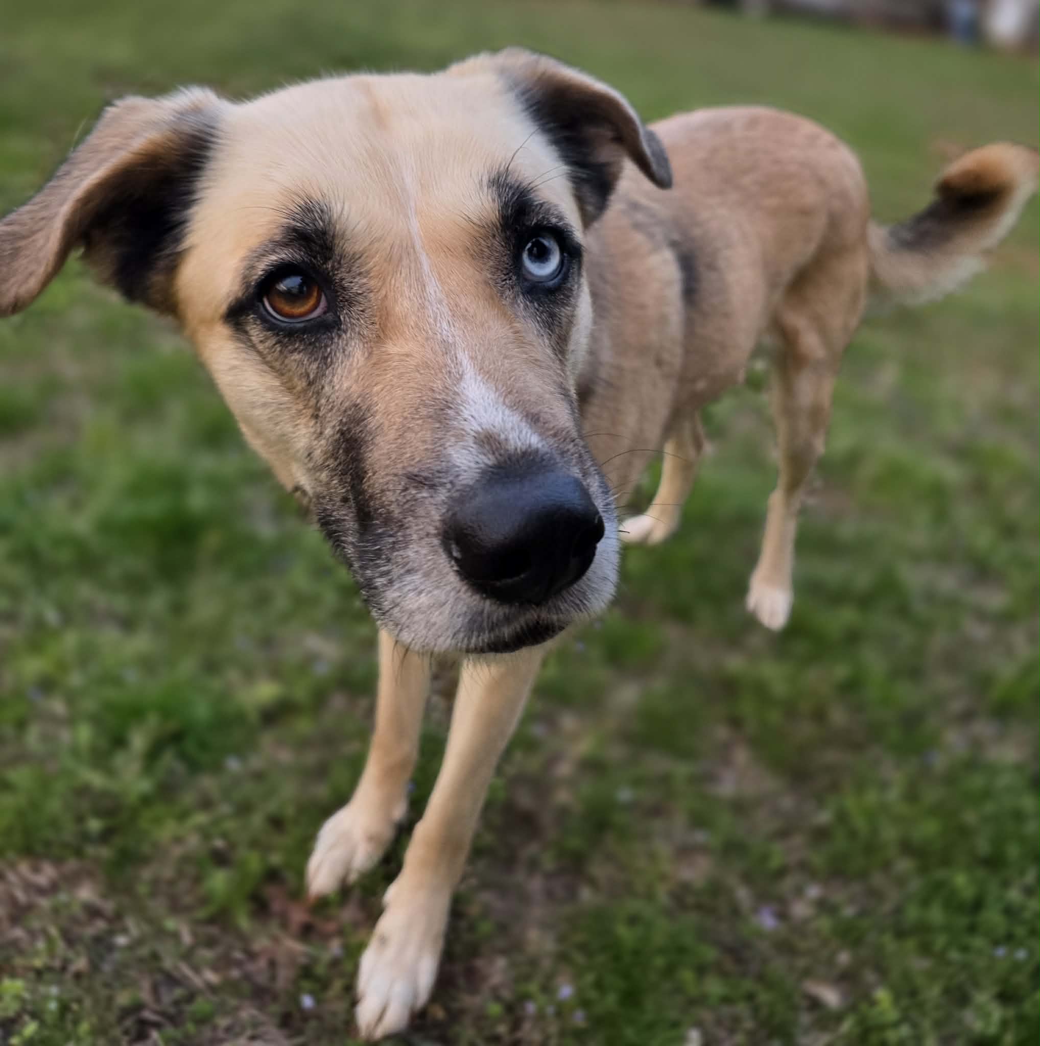 att.8xwXgLG7pgynbEb_tXpjU9aBKuPQQoF53RZ6Ini9yro