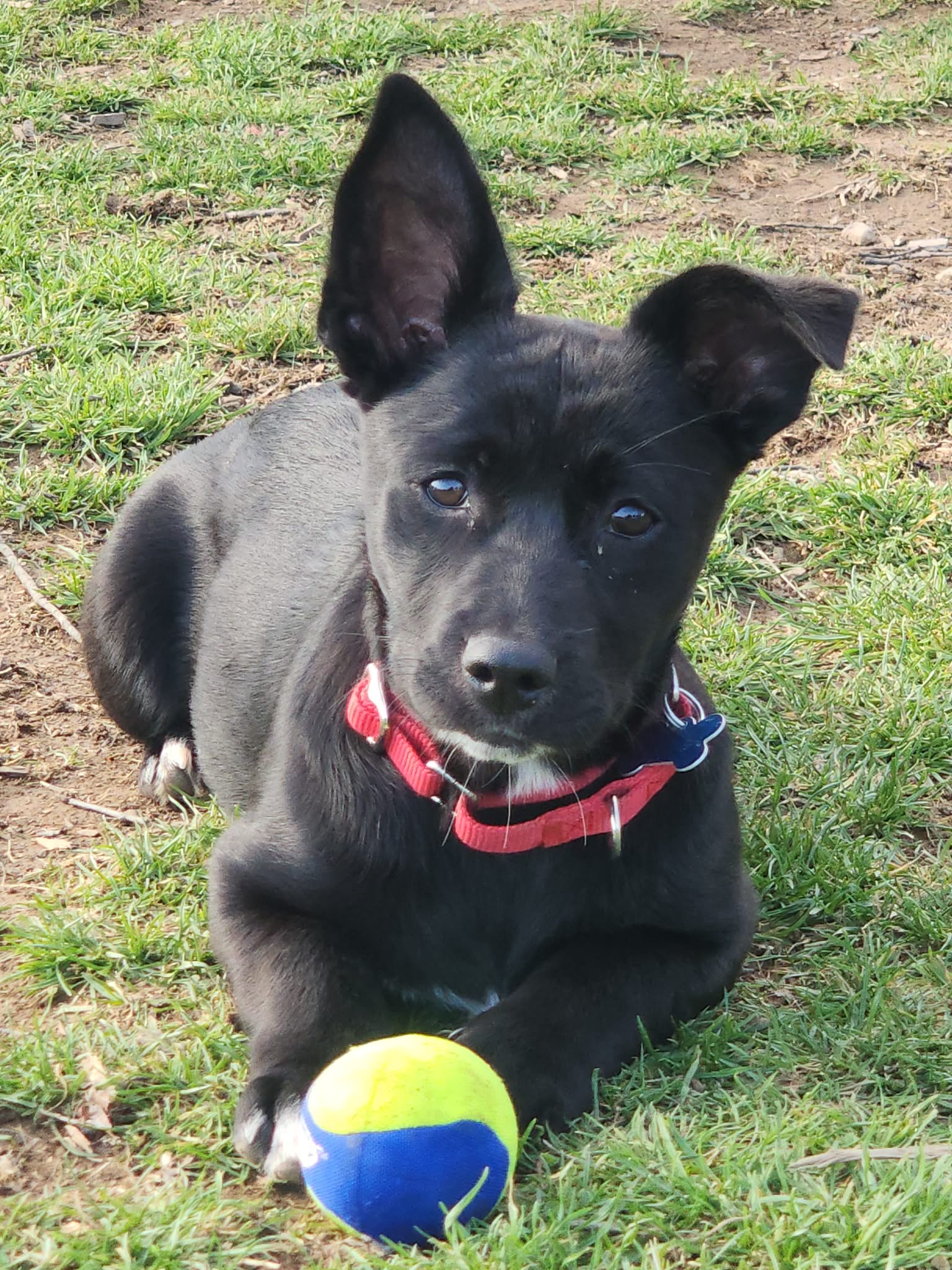 att.DPRUMZ4Eh52EvfVs0WZHwvrL2jcl_qduNsIFK5_sjg8