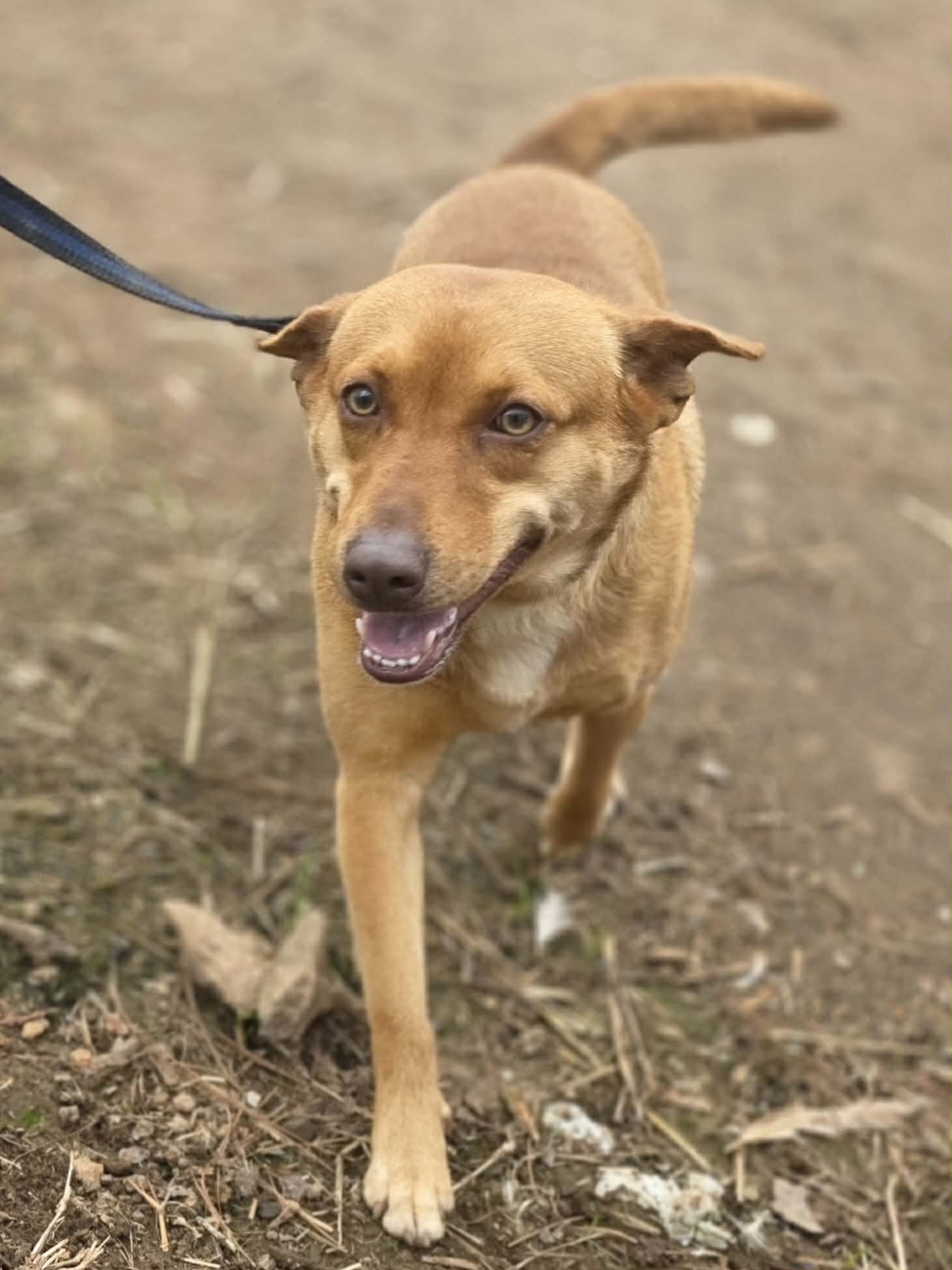 att.I1uWW85RKB1GcUTFeAa59fXXyoAjRxmeGw2wiL-Lk2A