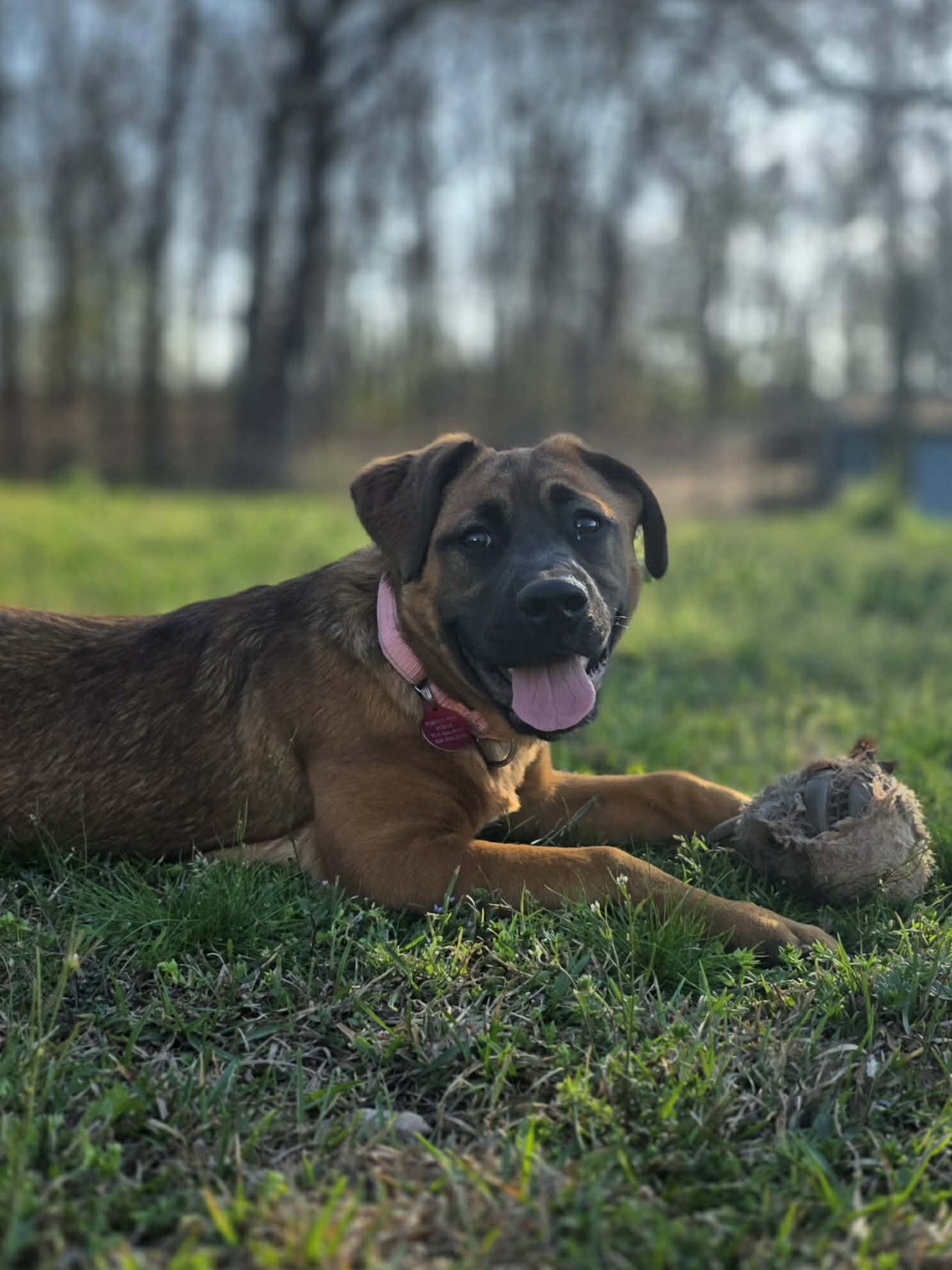 att.IKuLoStpdmtNhuumwhzRLcXdCVQUIXtV8NoIWcDZz0o