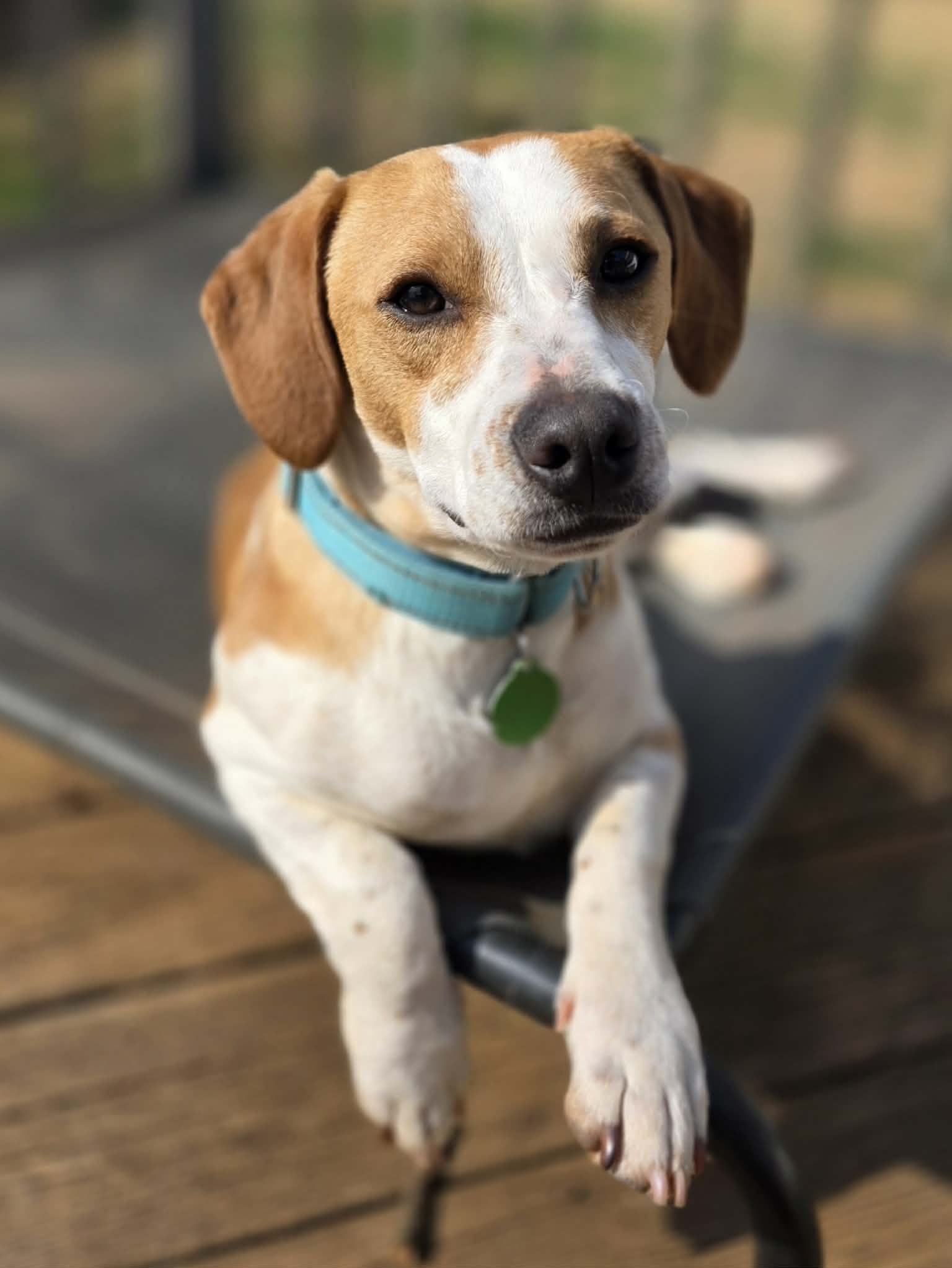 att.Tre9rgub7wyf_BwvC794zfuOSIuPblQvK_CEKKc0pVQ