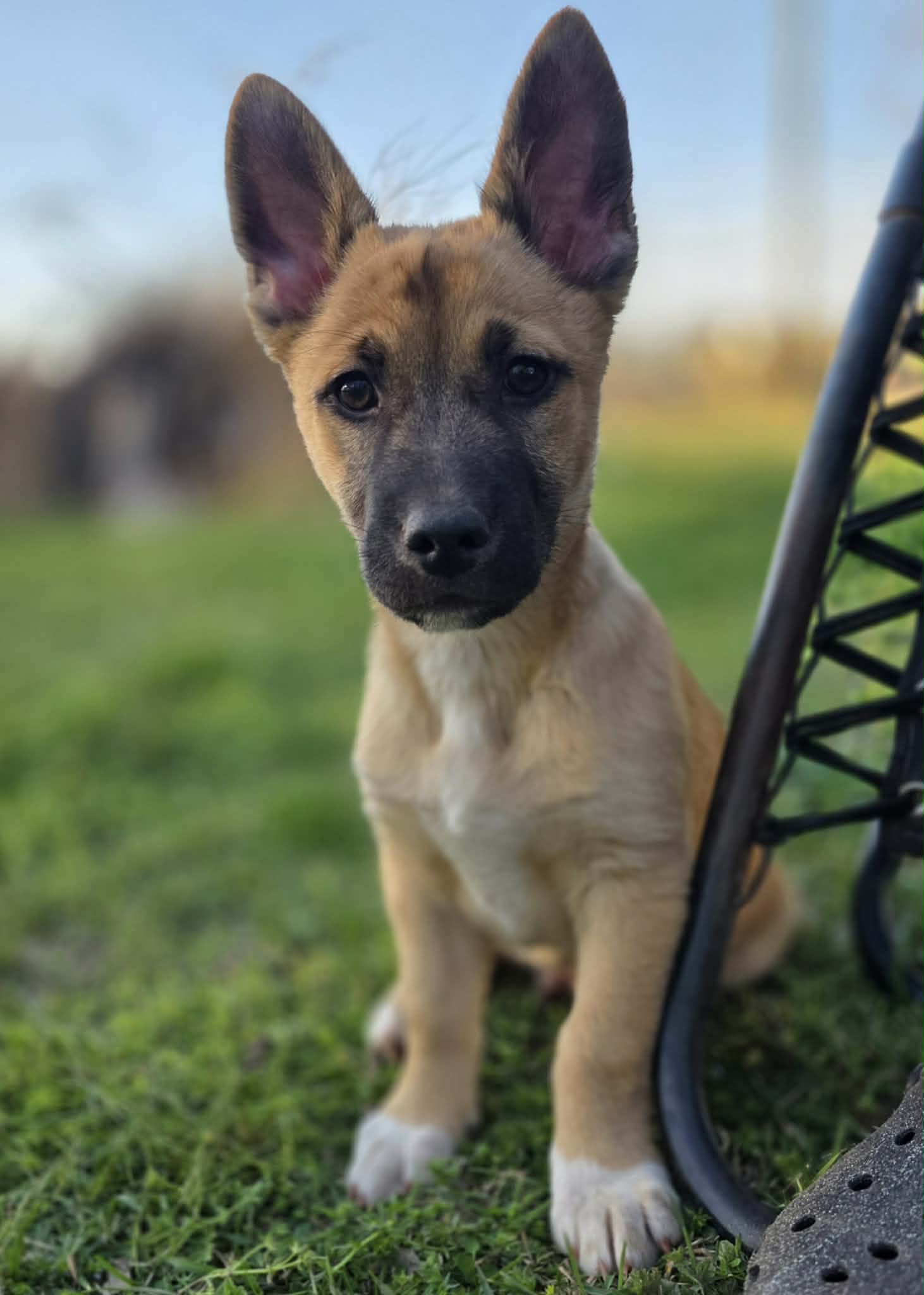 att.hVmHLzjXLyl5Svc8XdfNin3q2Tjnk0RVo1Swb5giV-I