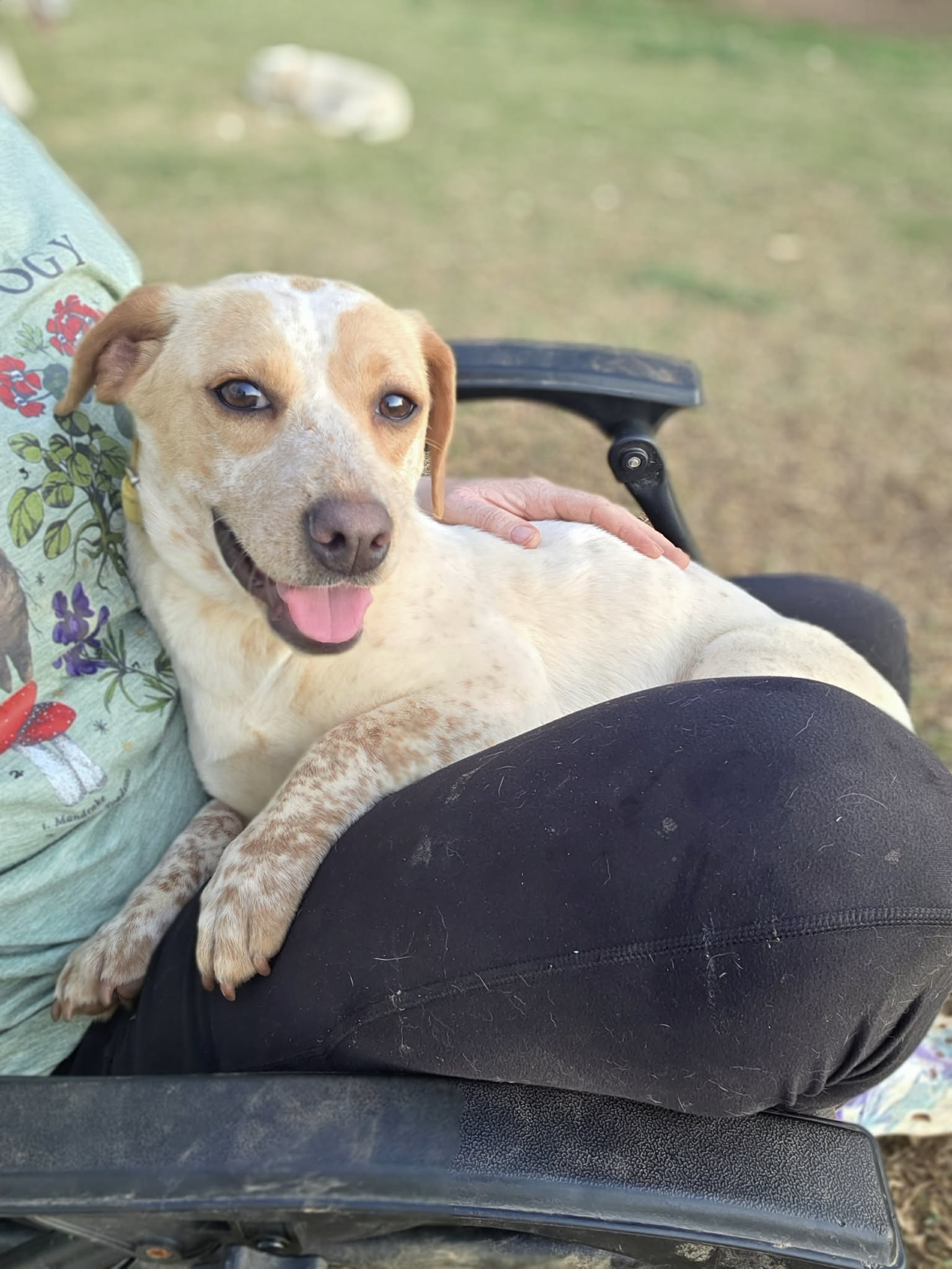 att.j2eN9-eTecWjcYN_rOCpZCi1_BeYodlT_tBASCa4rBA