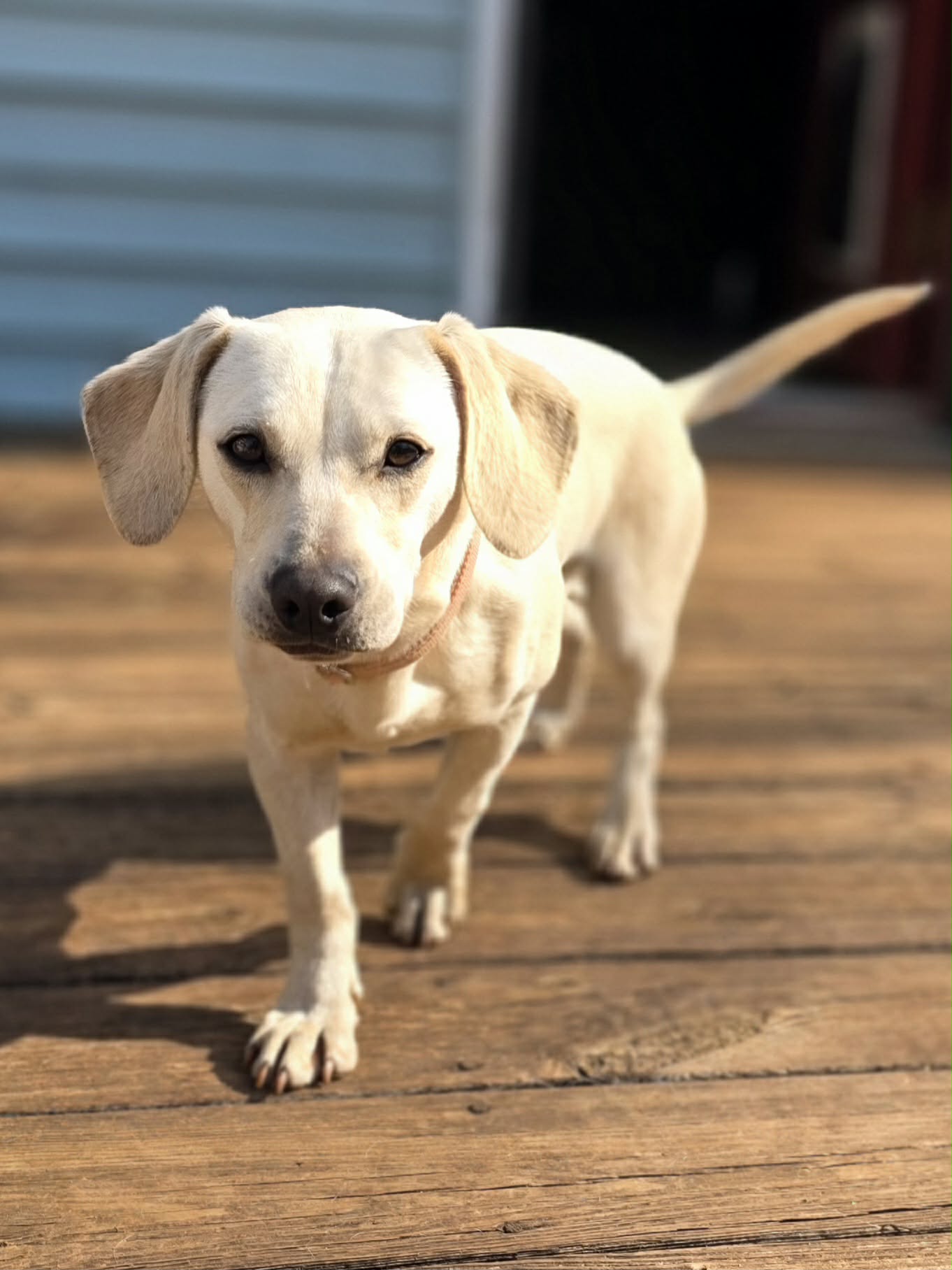 att.nOVX46aQZ9WN4XCUNZej-QvX502aN7vbOafu3J_6HdA